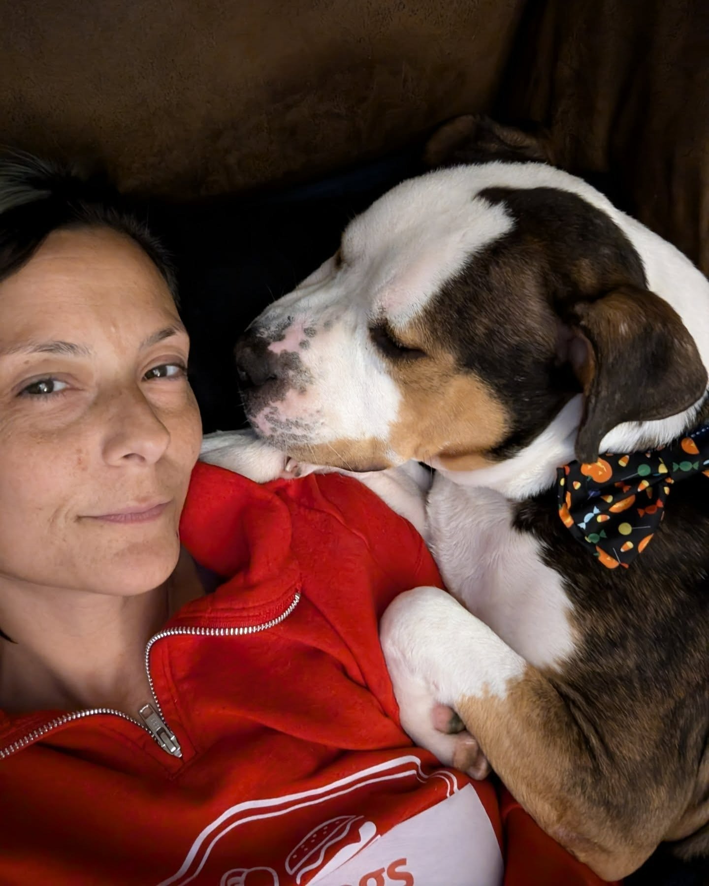 User-uploaded image 1