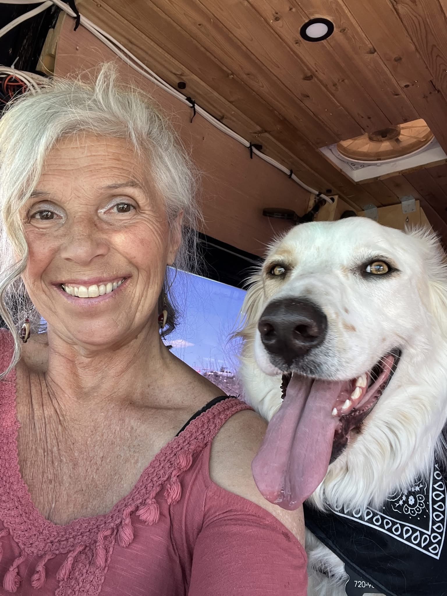 User-uploaded image 1