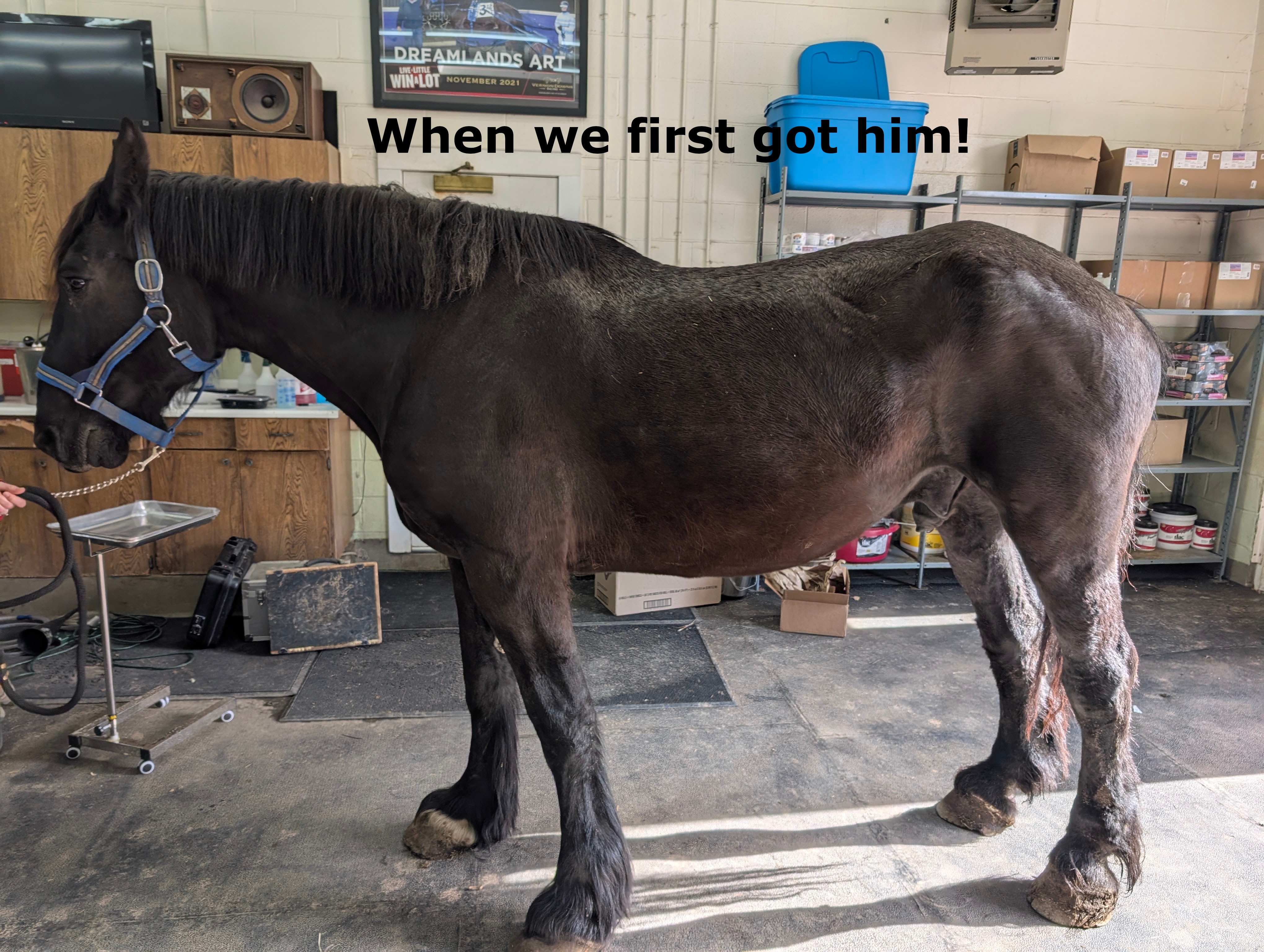 Help King Breathe Easy Again - Support His Healing Journey campaign photo, 2 of 6