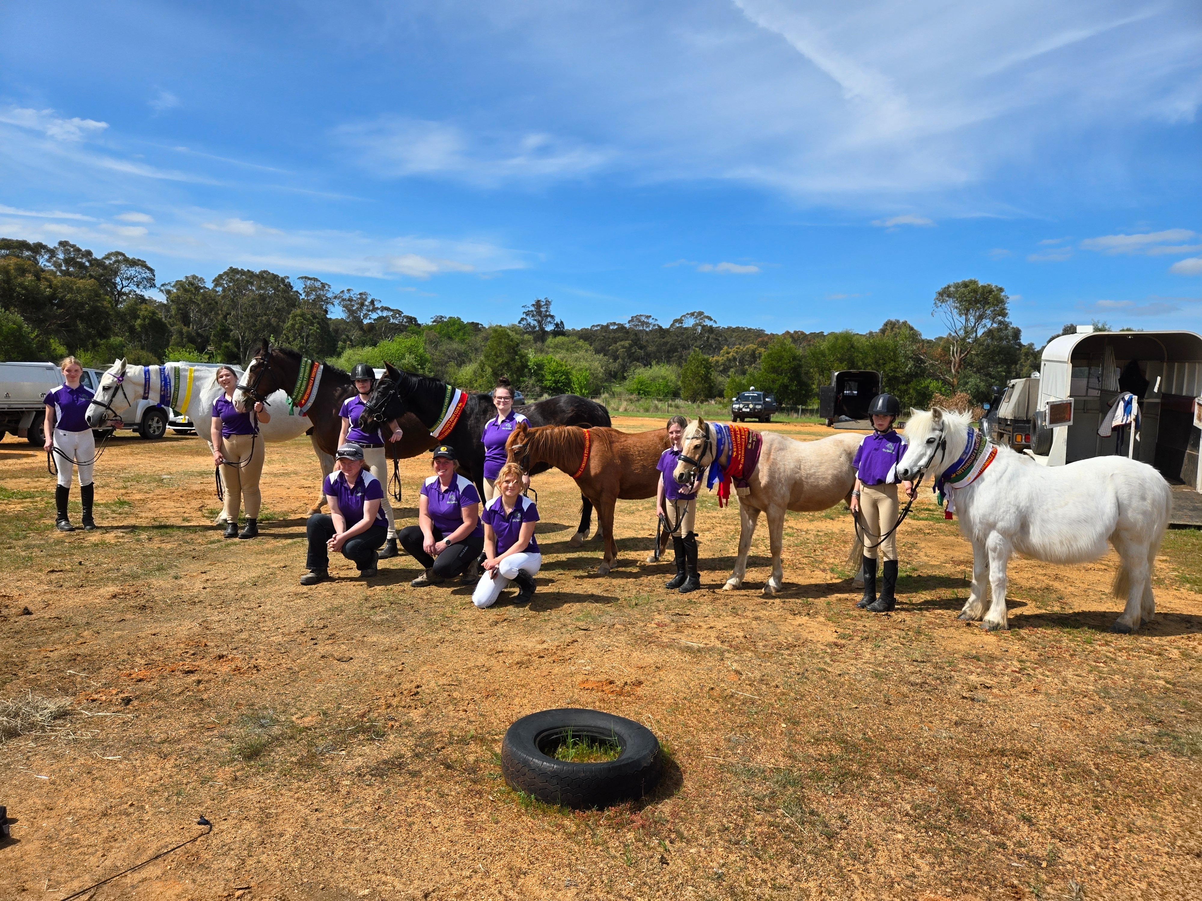 Hay drive for riding school horses campaign photo, 6 of 8