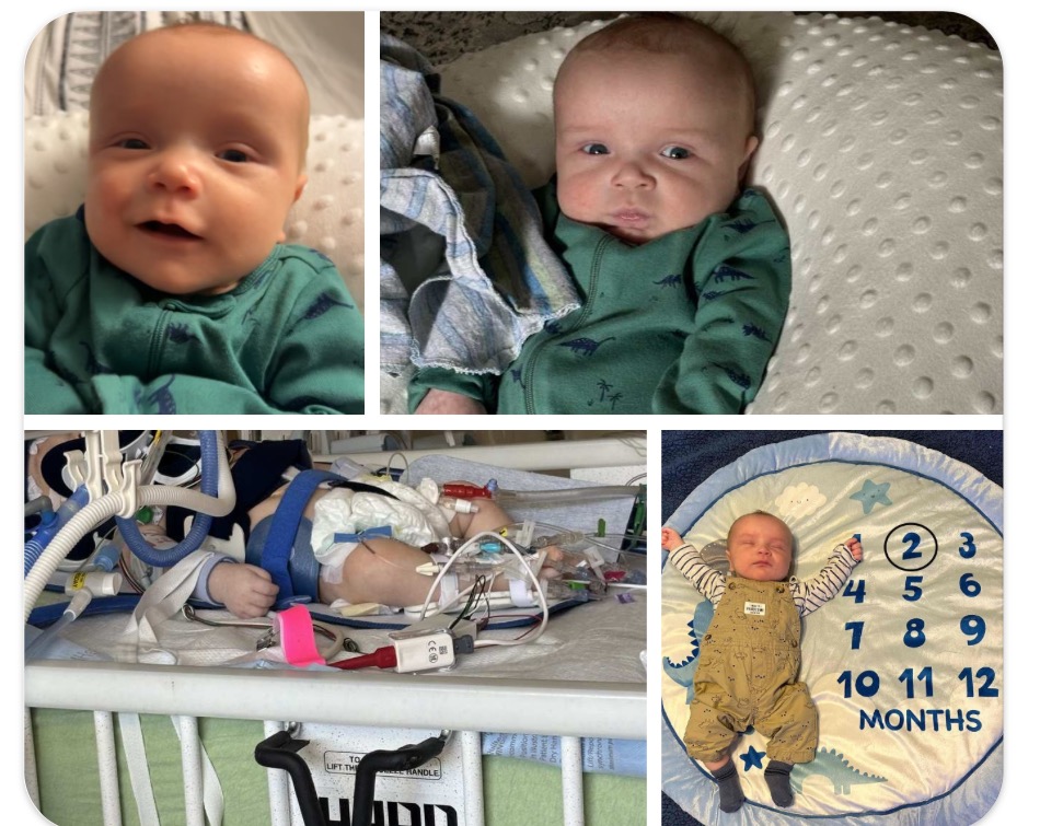 User-uploaded image 1