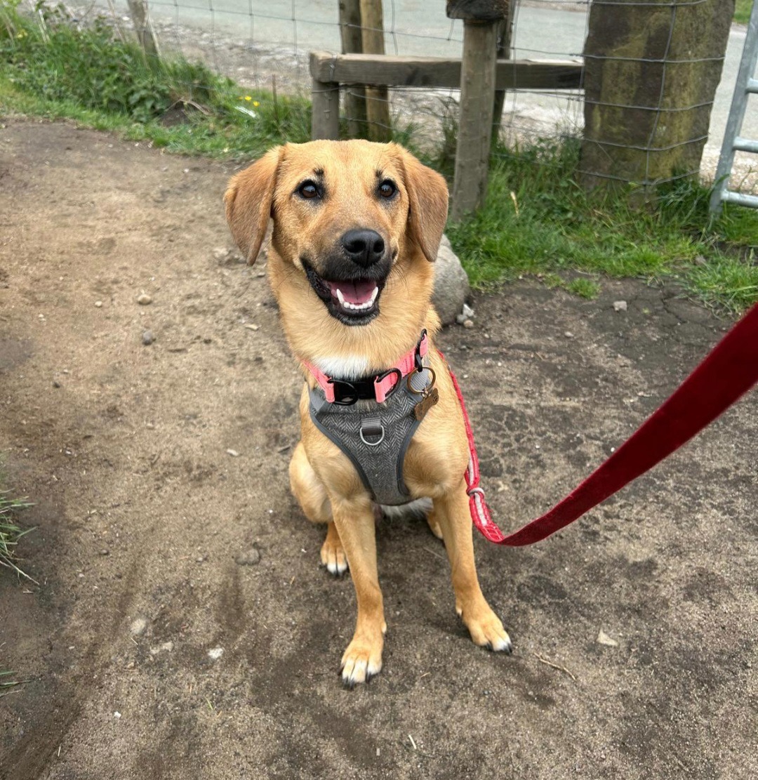 User-uploaded image 1