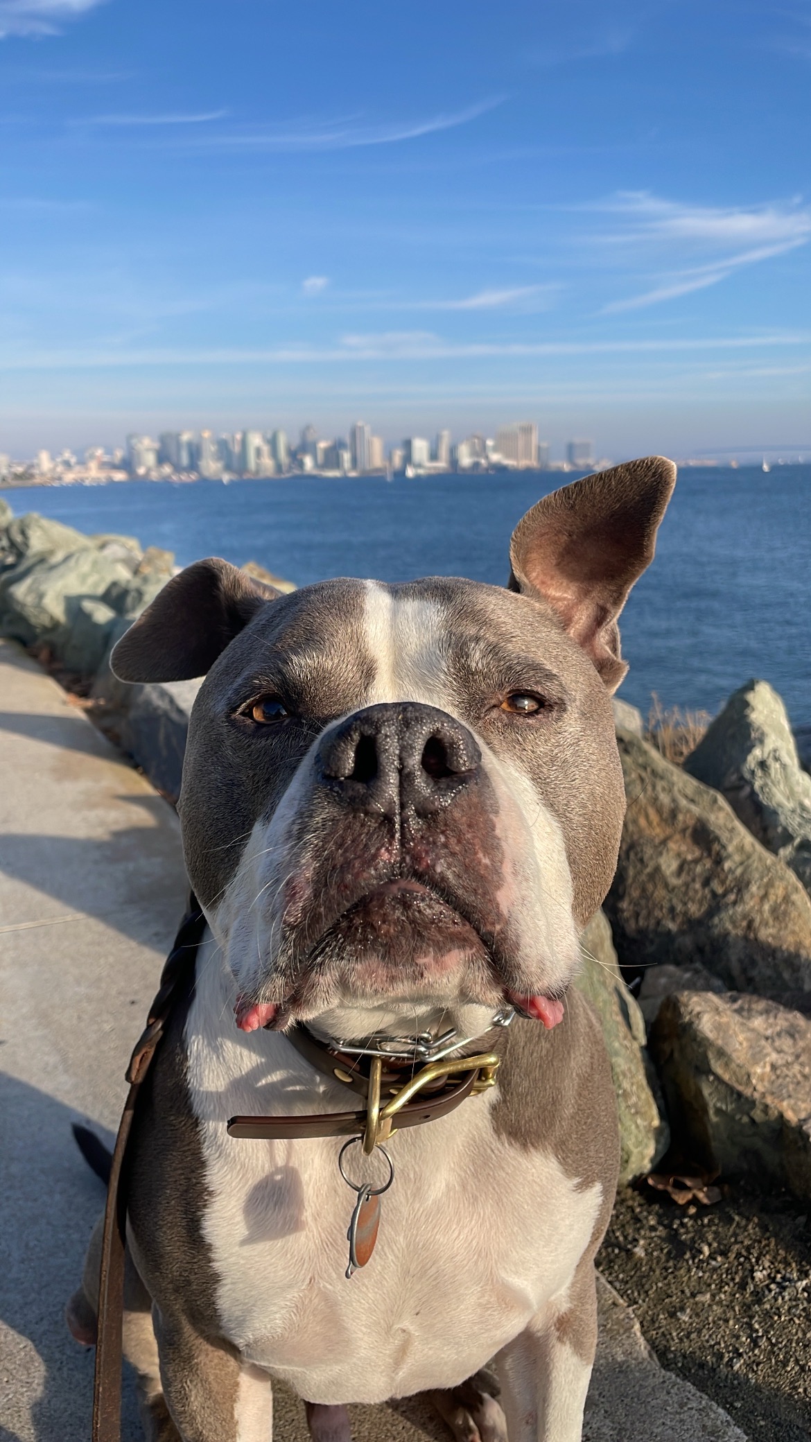Support Finn's Battle with Paralysis campaign photo, 2 of 8