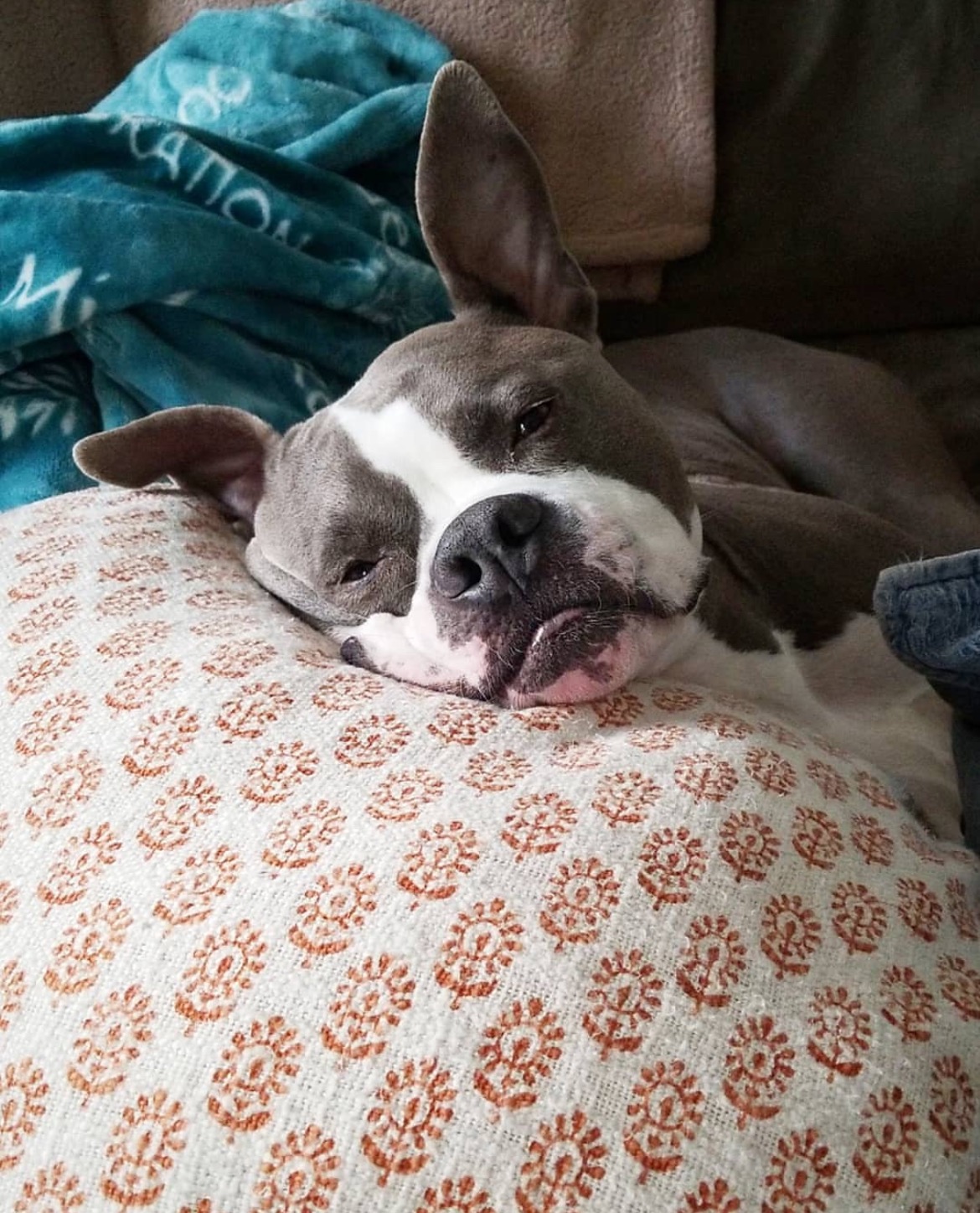 Support Finn's Battle with Paralysis campaign photo, 5 of 8