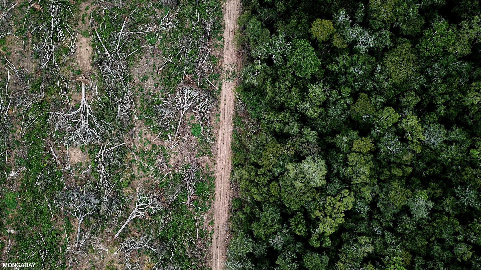 User-uploaded image 1