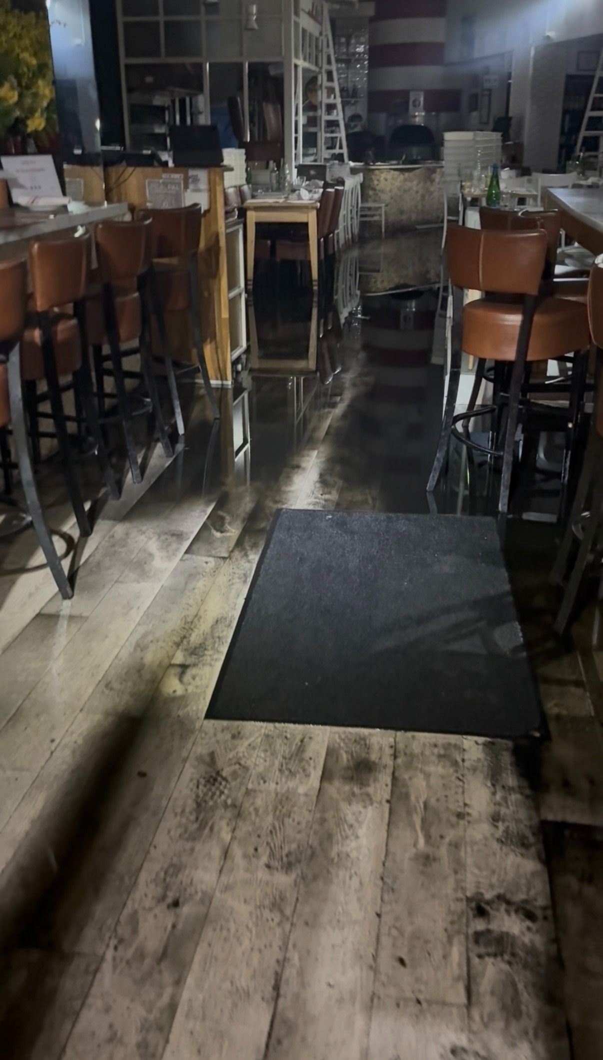 User-uploaded image 1