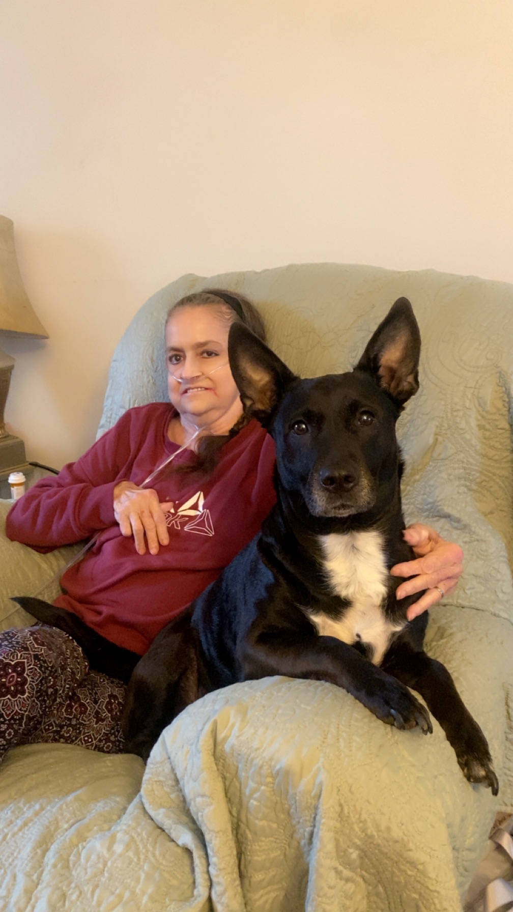 User-uploaded image 2