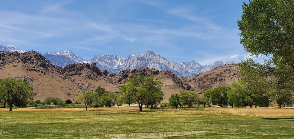 User-uploaded image 1