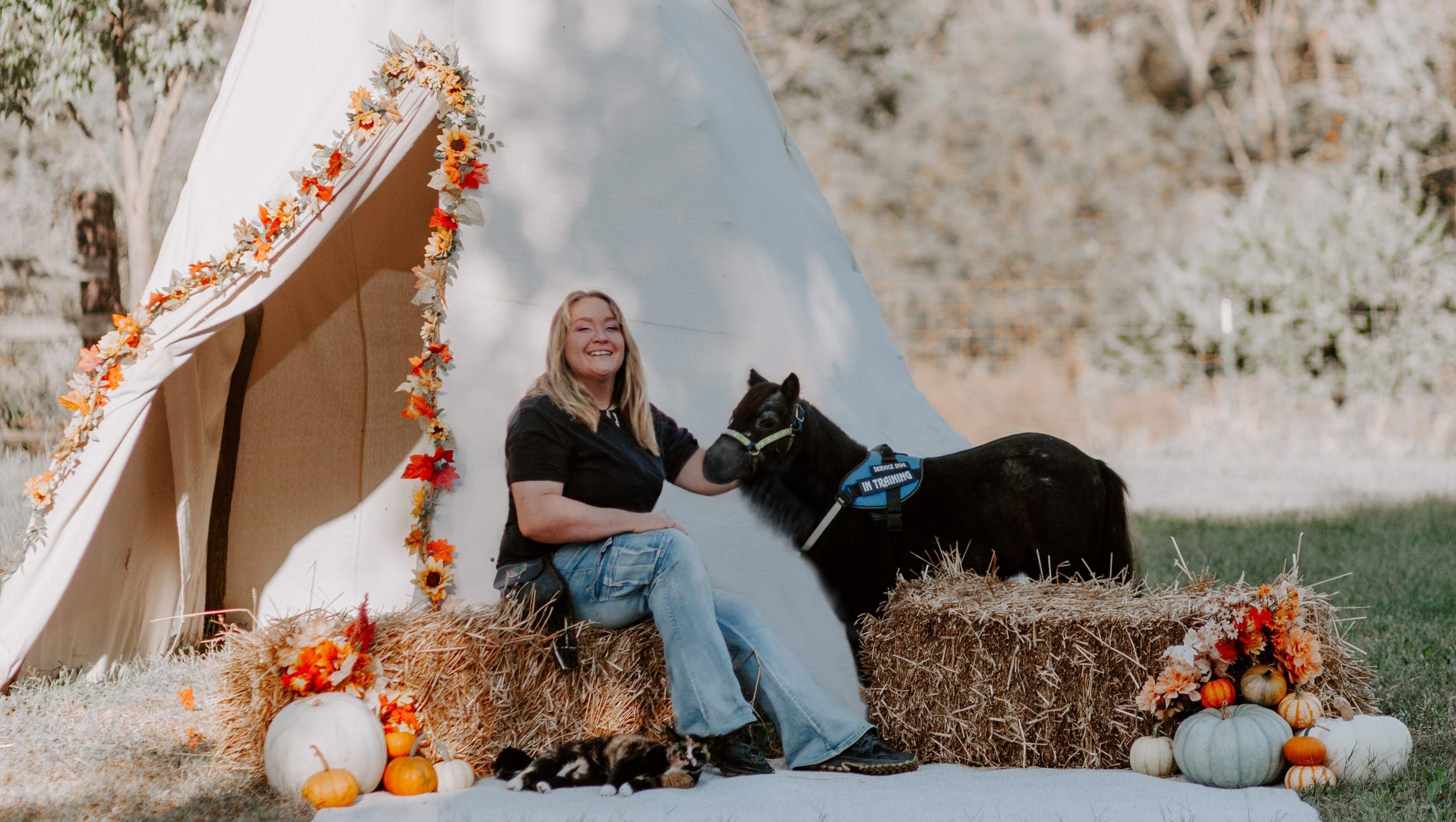 Support Equine Eyes: Miniature Guide Horses for the Blind photo