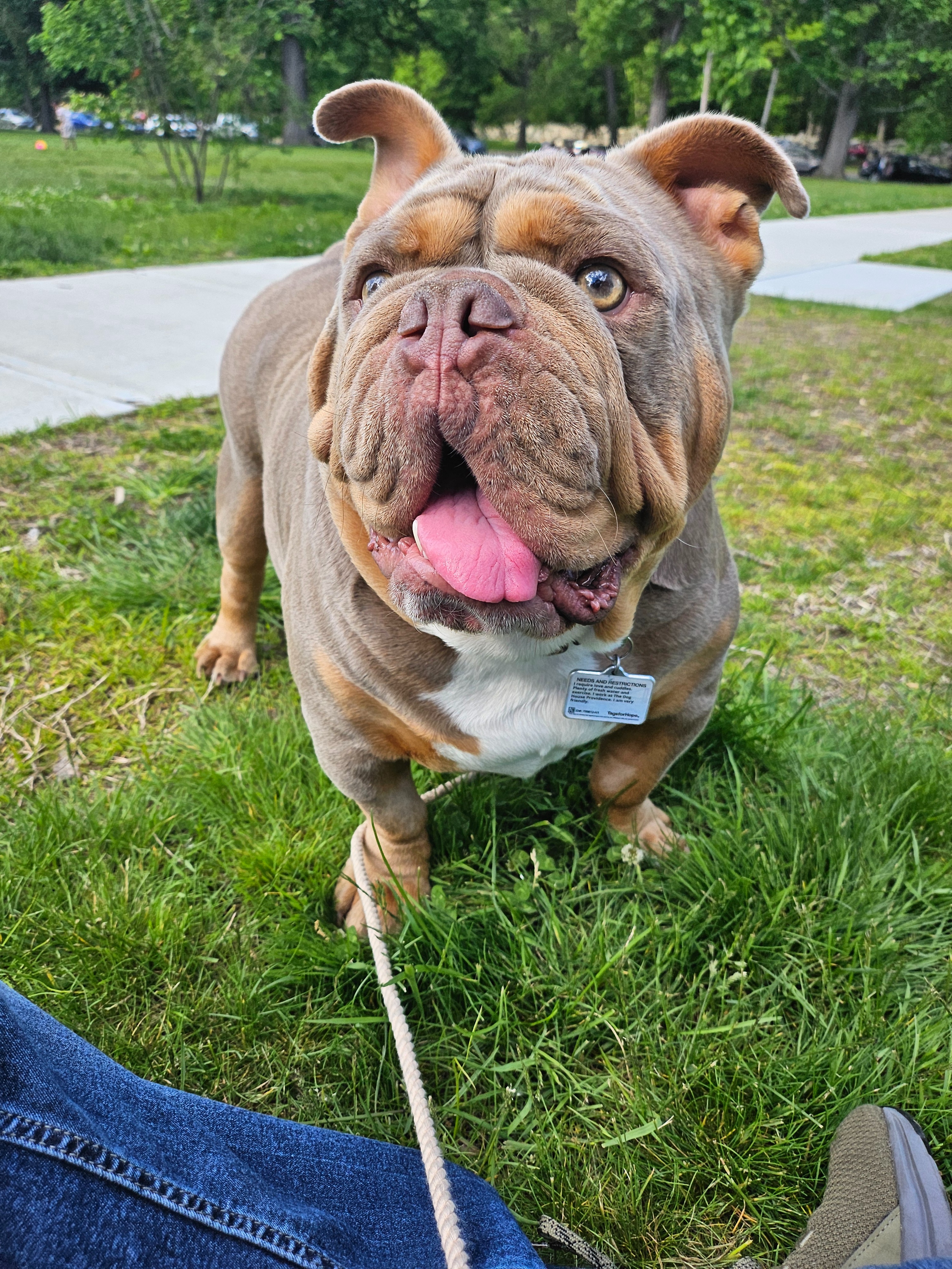 Support Baxter's Life-Saving Surgery Costs campaign photo, 6 of 8