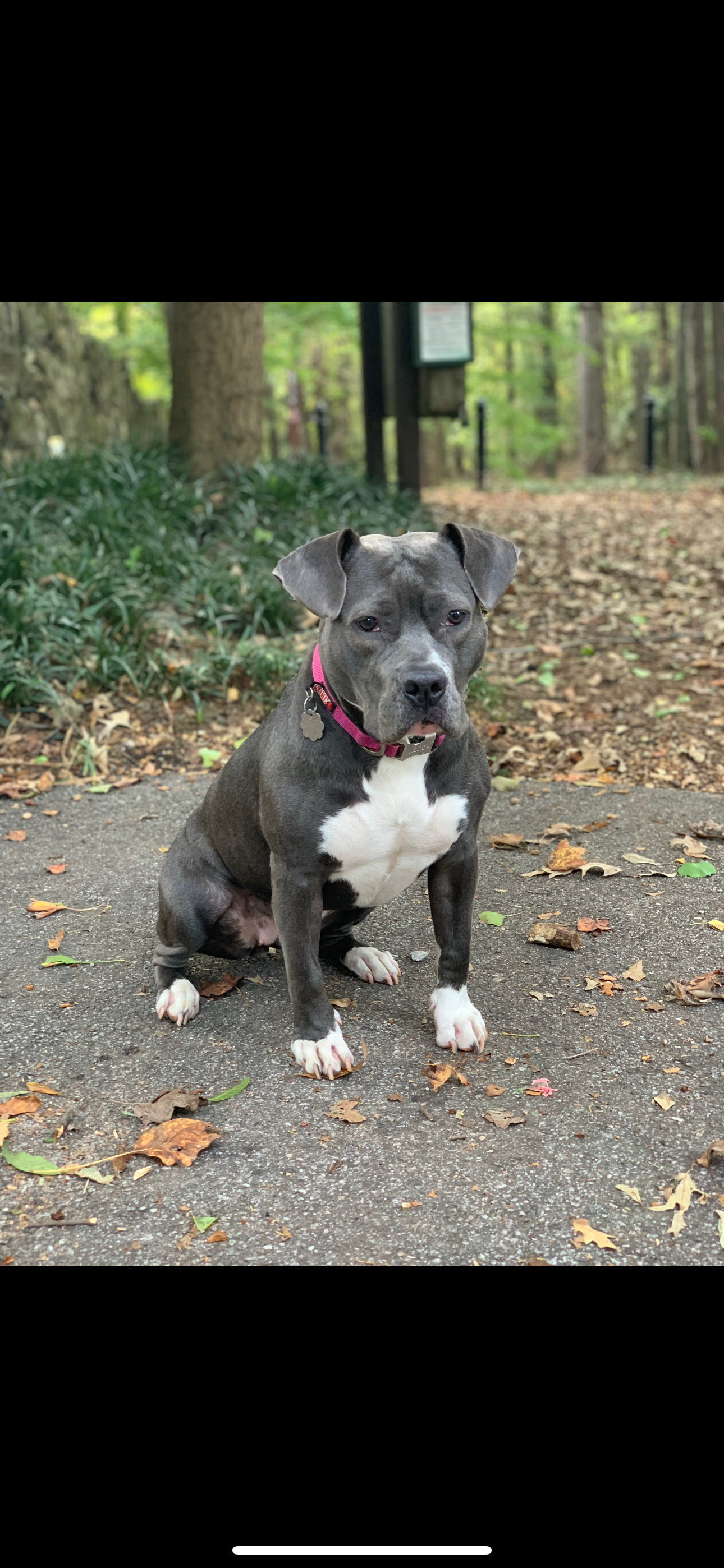 Support Milly's Urgent Eye Surgery campaign photo, 2 of 7