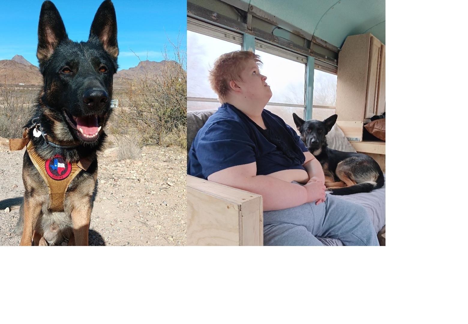 Support Bobby's Urgent Medical Needs campaign photo, 7 of 8
