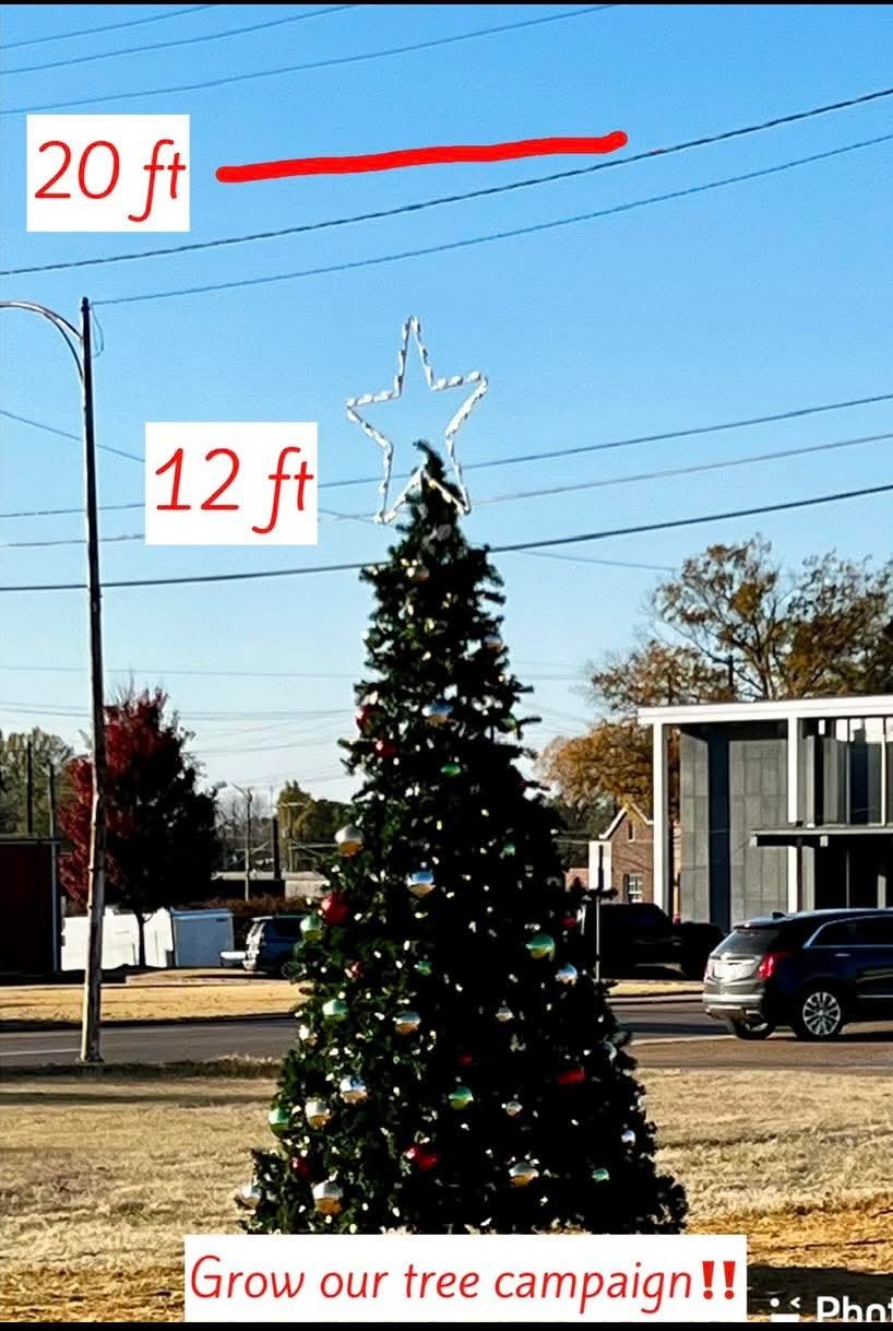 Join Us to Light Up the Holidays Downtown campaign photo, 4 of 5
