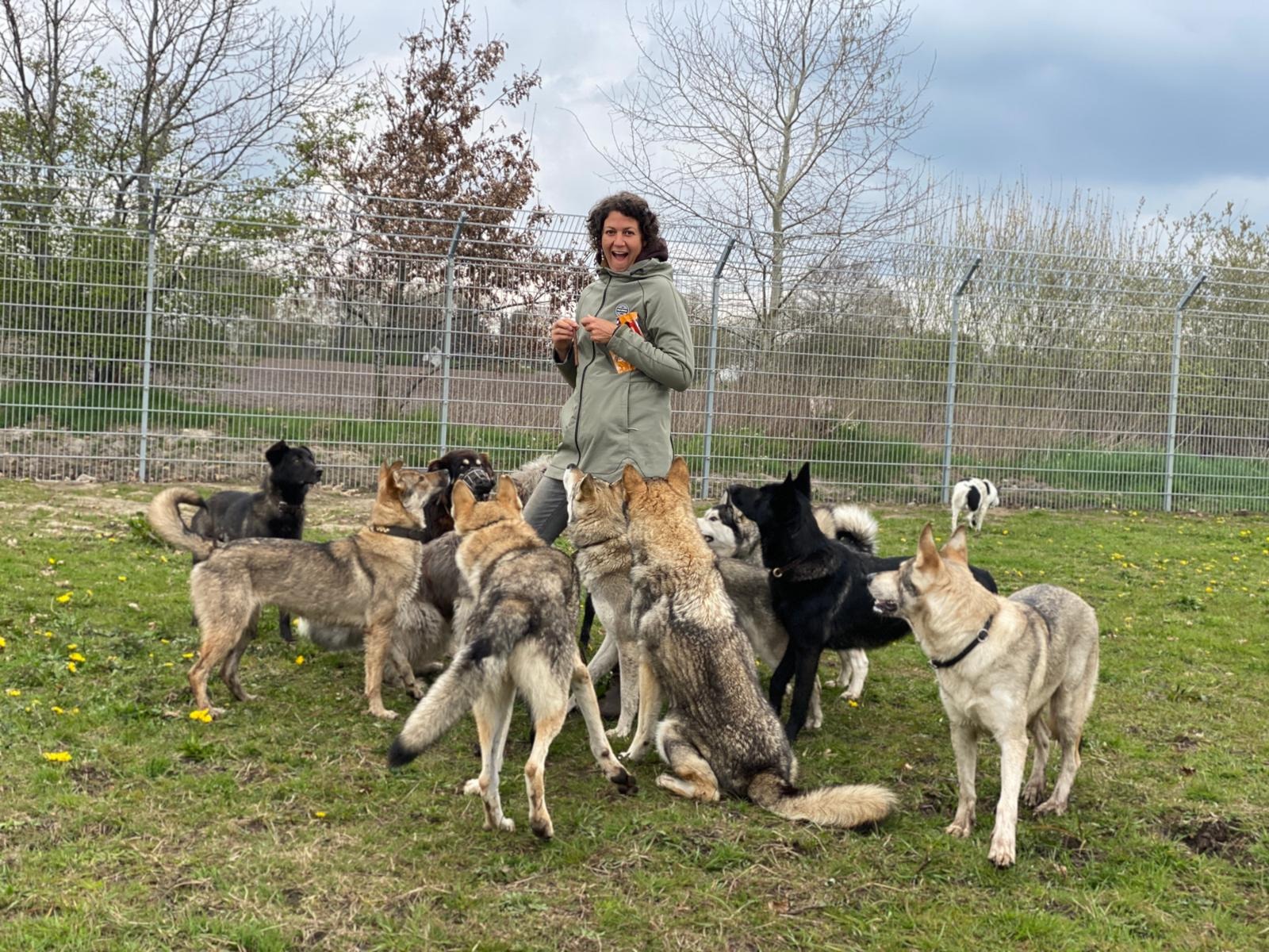 Hunde-Lebens-Paradies für "Problemhunde" die niemand will campaign photo, 7 of 8