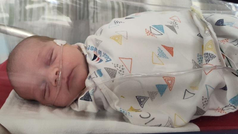 Fundraiser for Melissa Huffman by Christina Reece : Aid Enzo's Recovery ...
