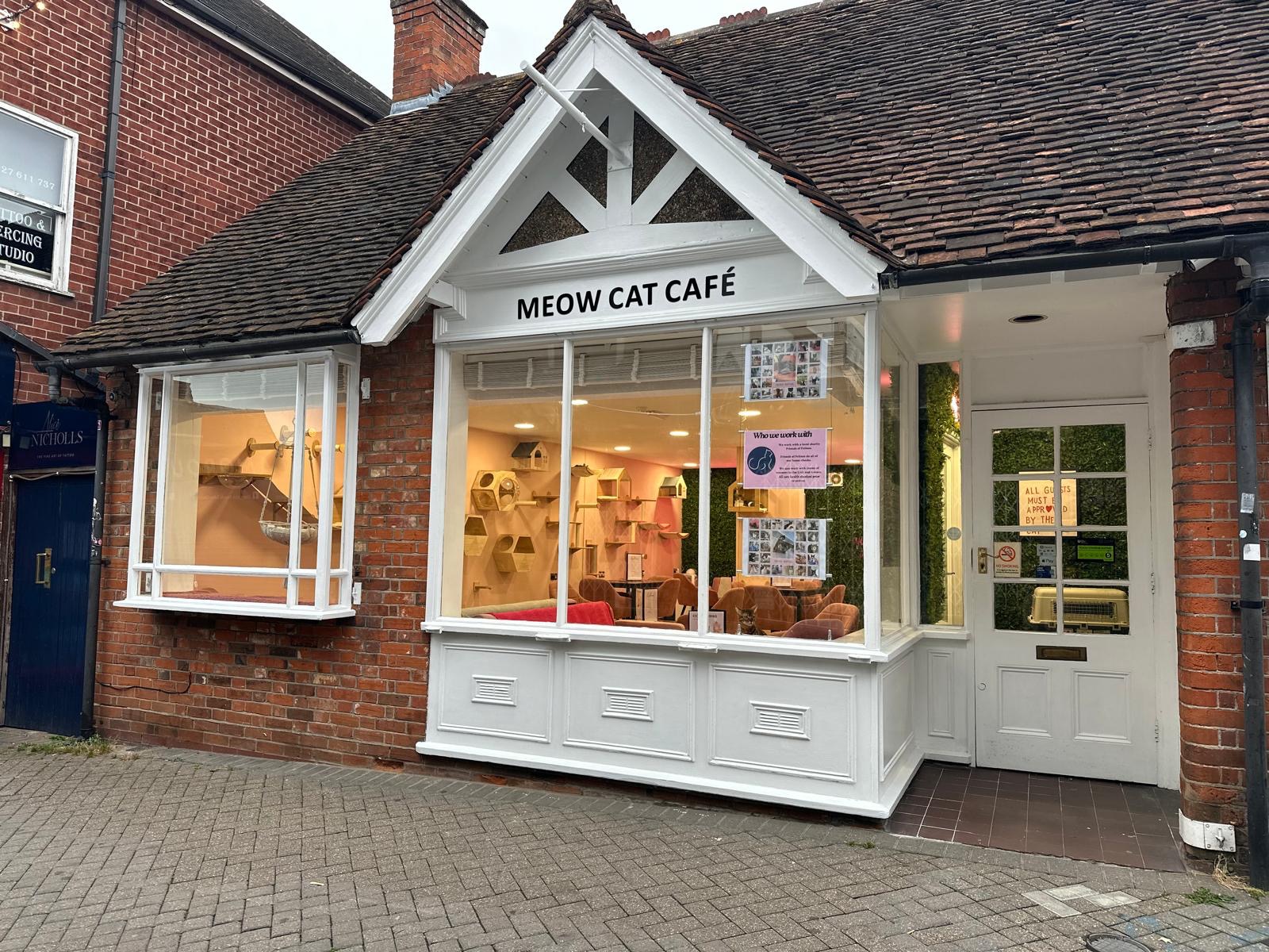 User-uploaded image 1