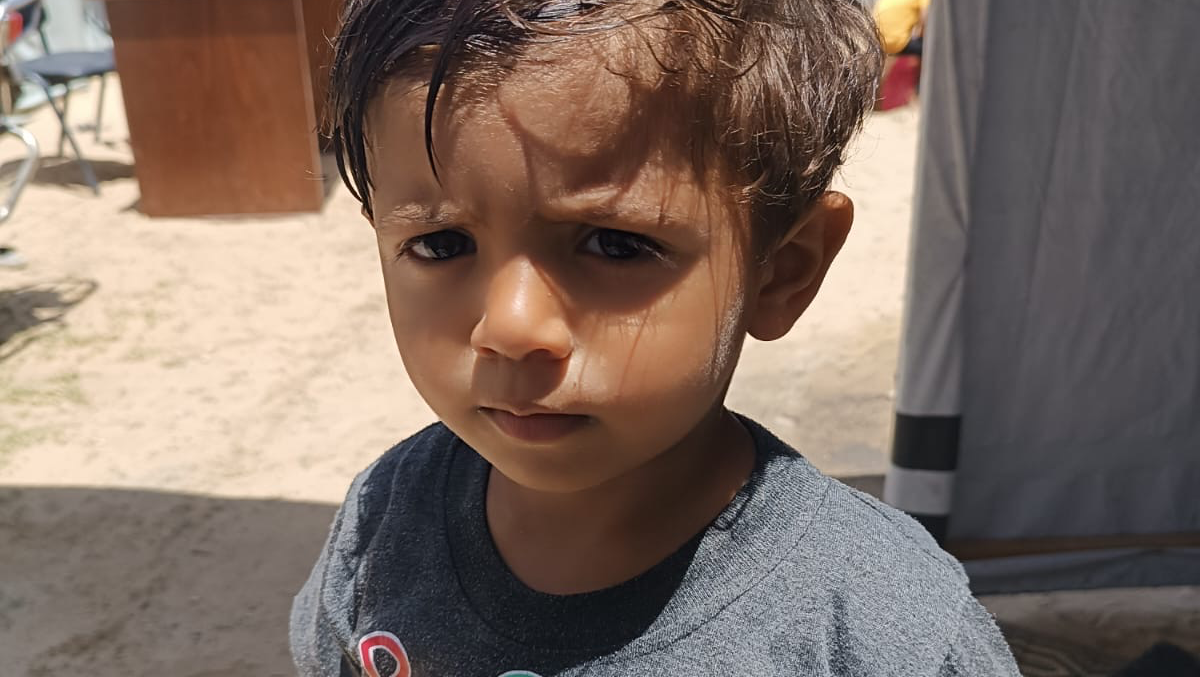 Help Provide for Dina’s 4 Children in Gaza photo
