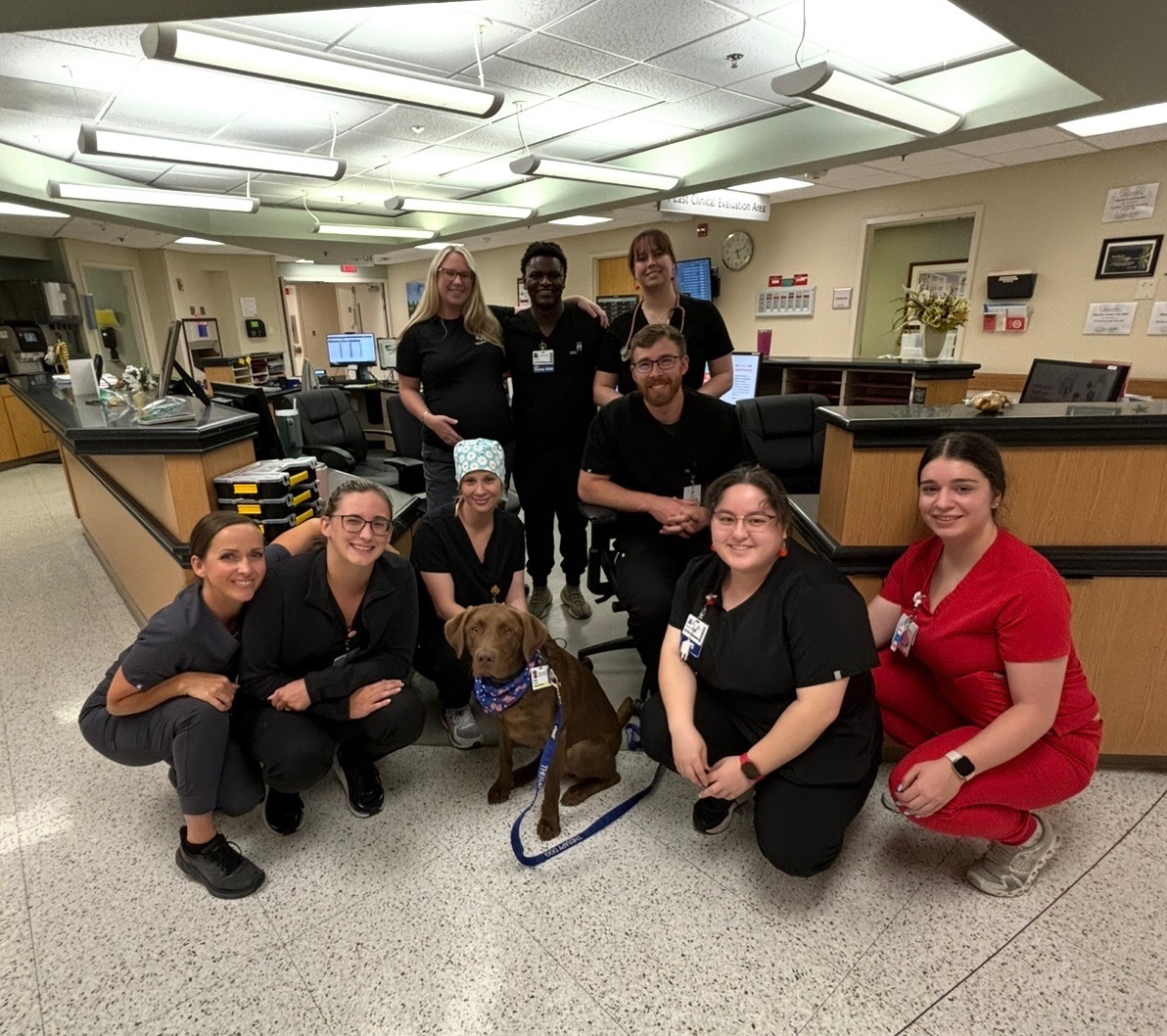 Give Back to Hank: Funding our Therapy Dog's Recovery campaign photo, 7 of 8
