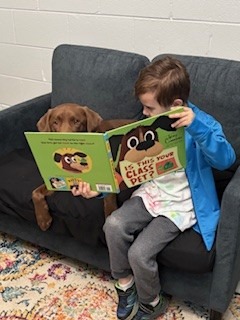 Give Back to Hank: Funding our Therapy Dog's Recovery campaign photo, 5 of 8