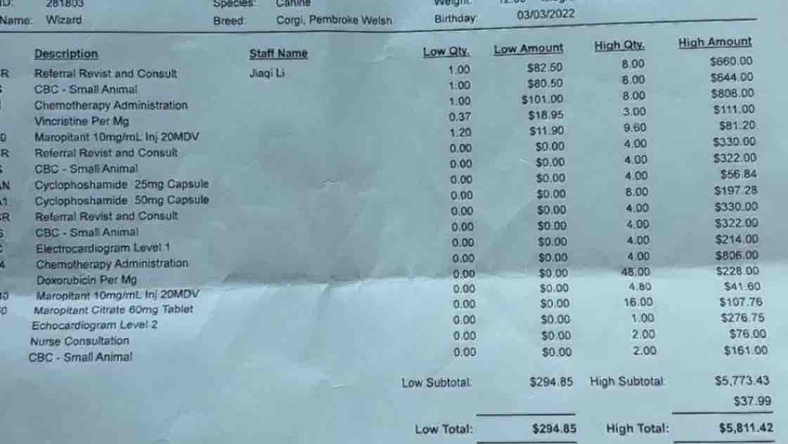 Fundraiser by Shania Worfel : Save Wizard–The Magical Corgi