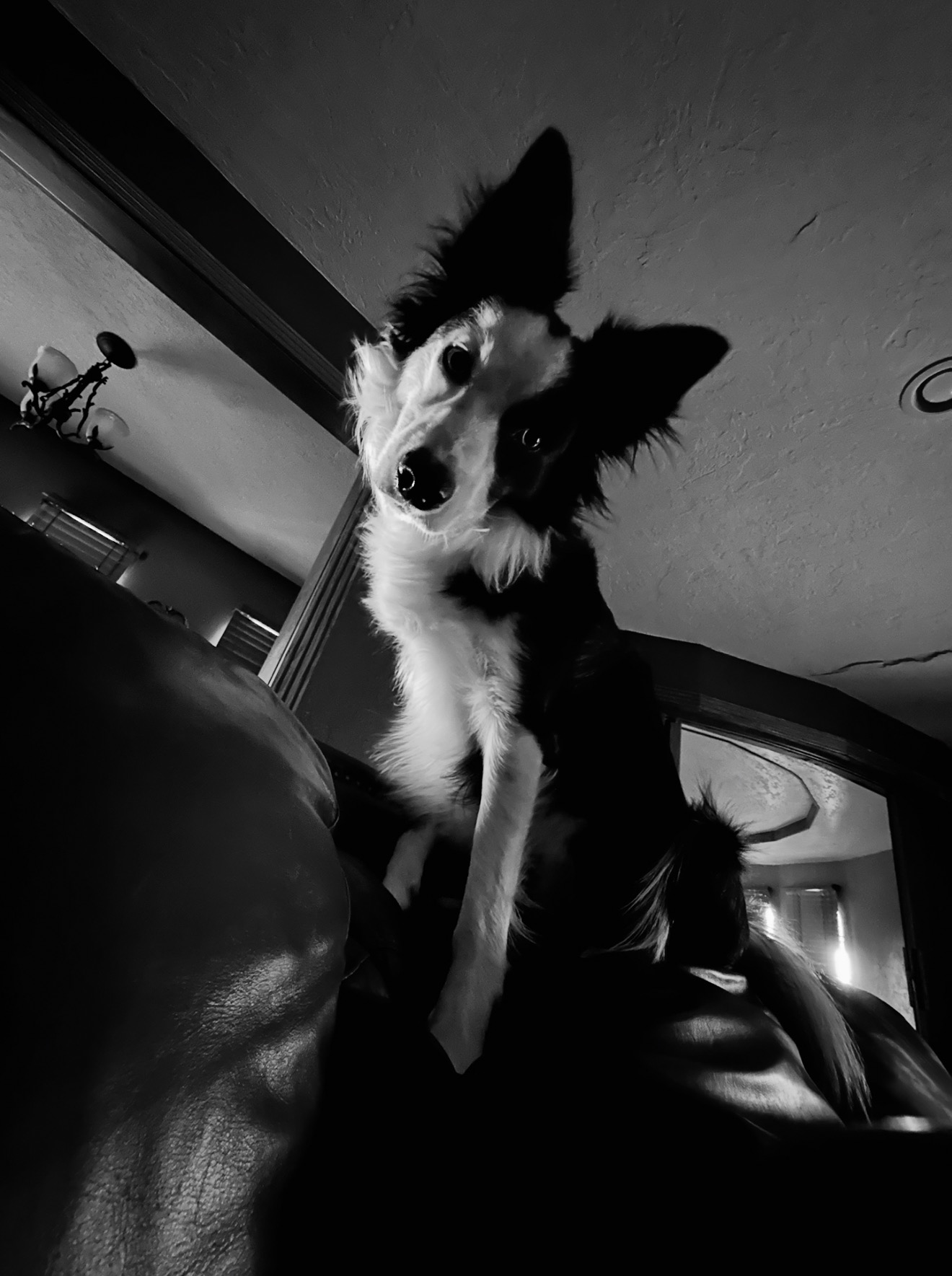 A boy and his dog campaign photo, 2 of 7