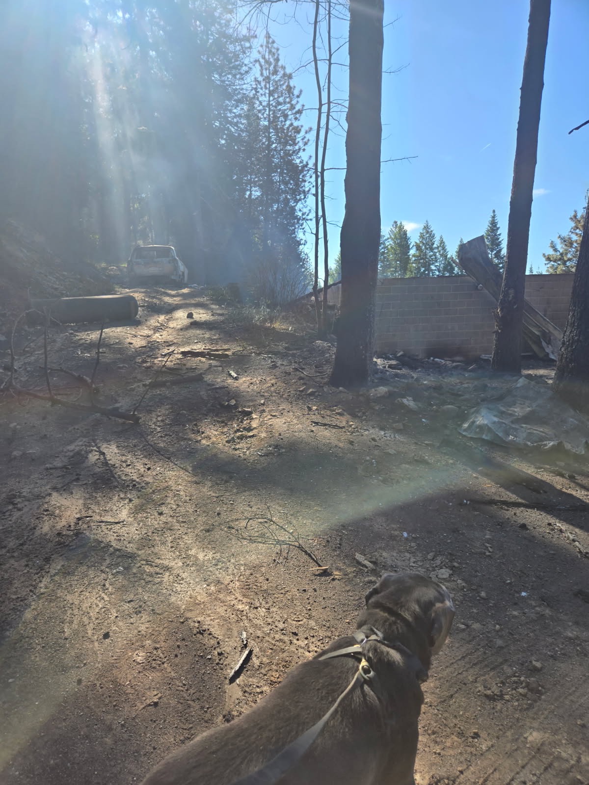 Help The Bell Family Rebuild After a Devastating Fire campaign photo, 4 of 8