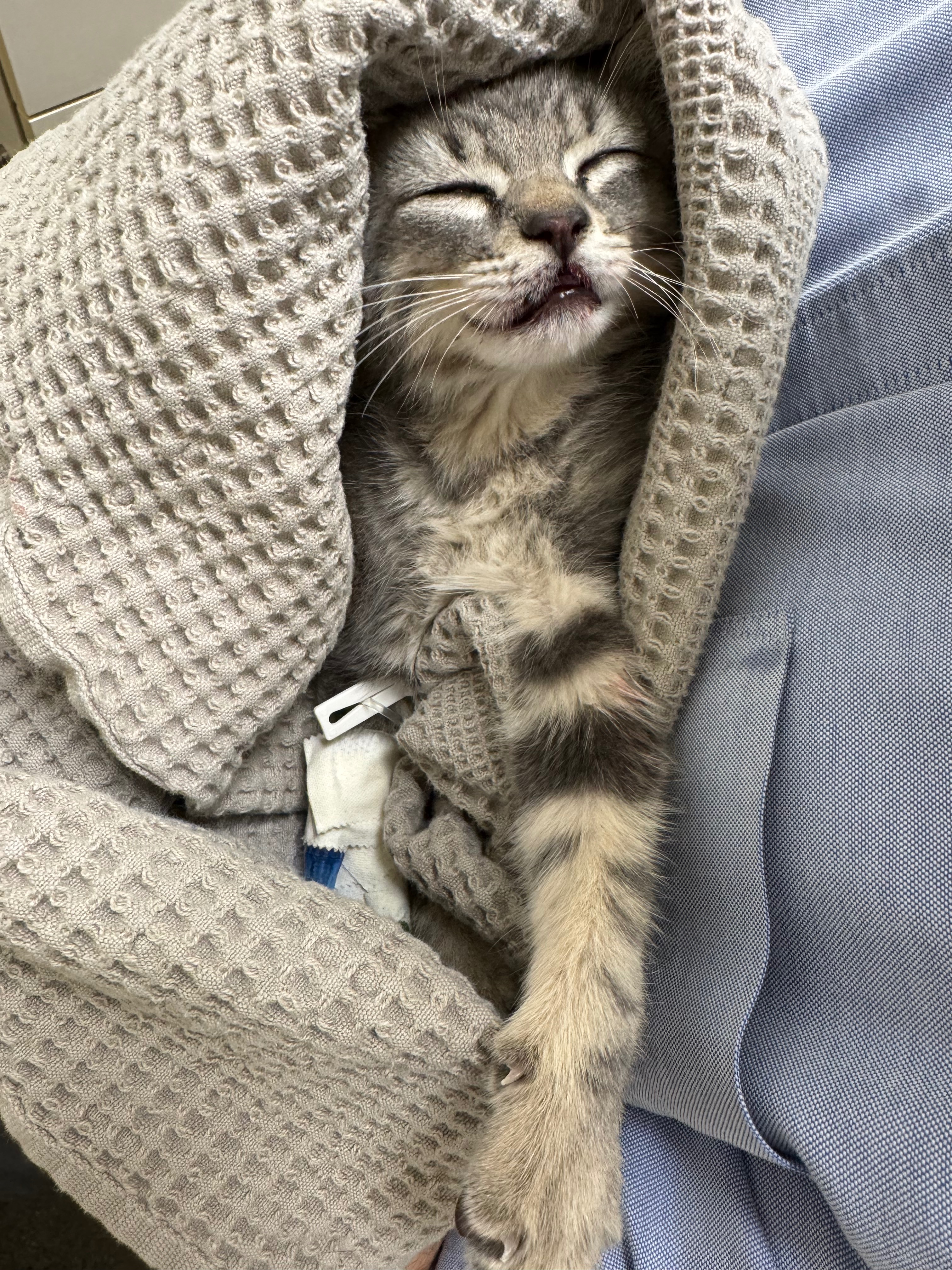 User-uploaded image 1