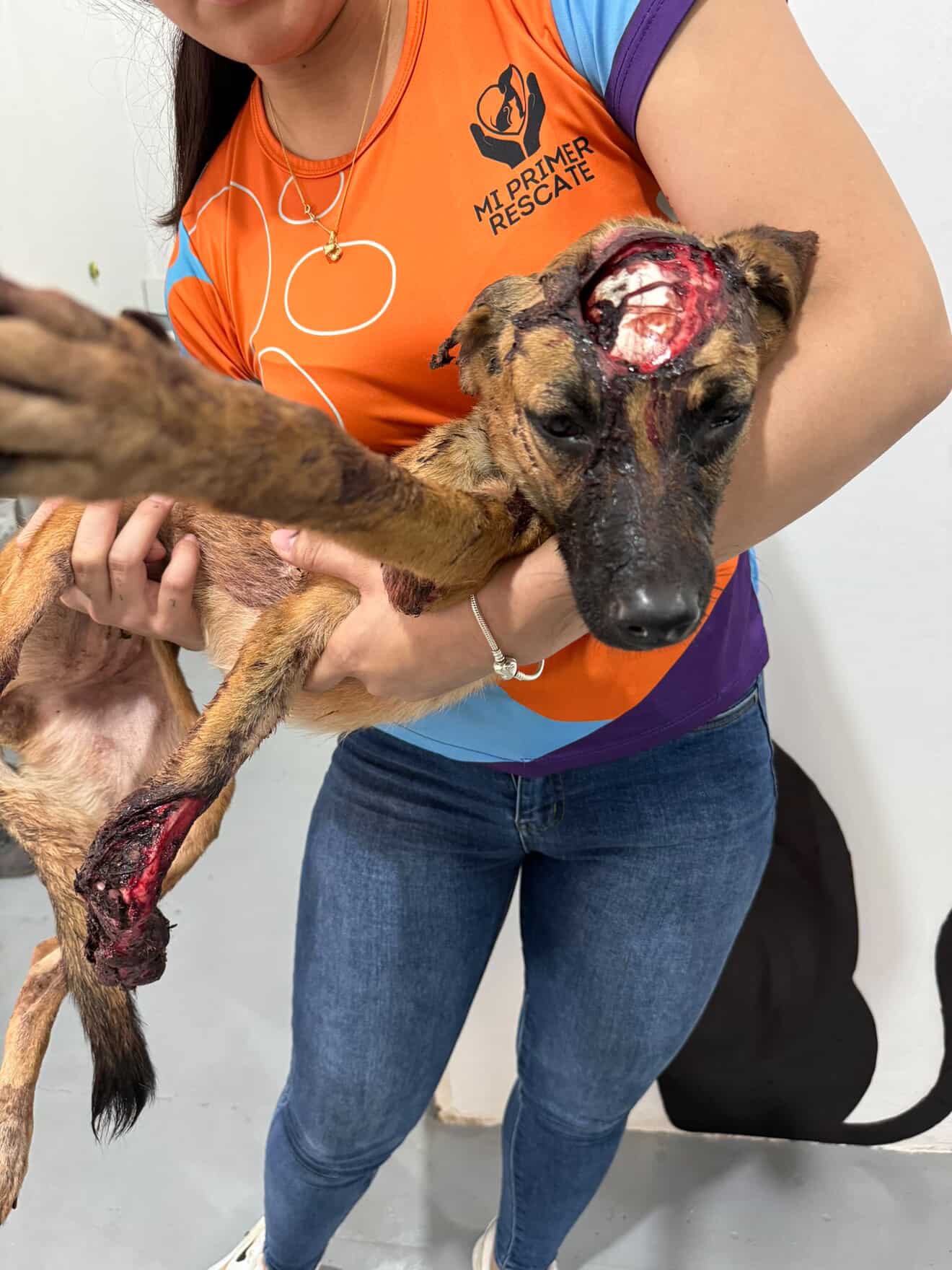 Urgent Support Needed for Animal Relocation campaign photo, 4 of 7