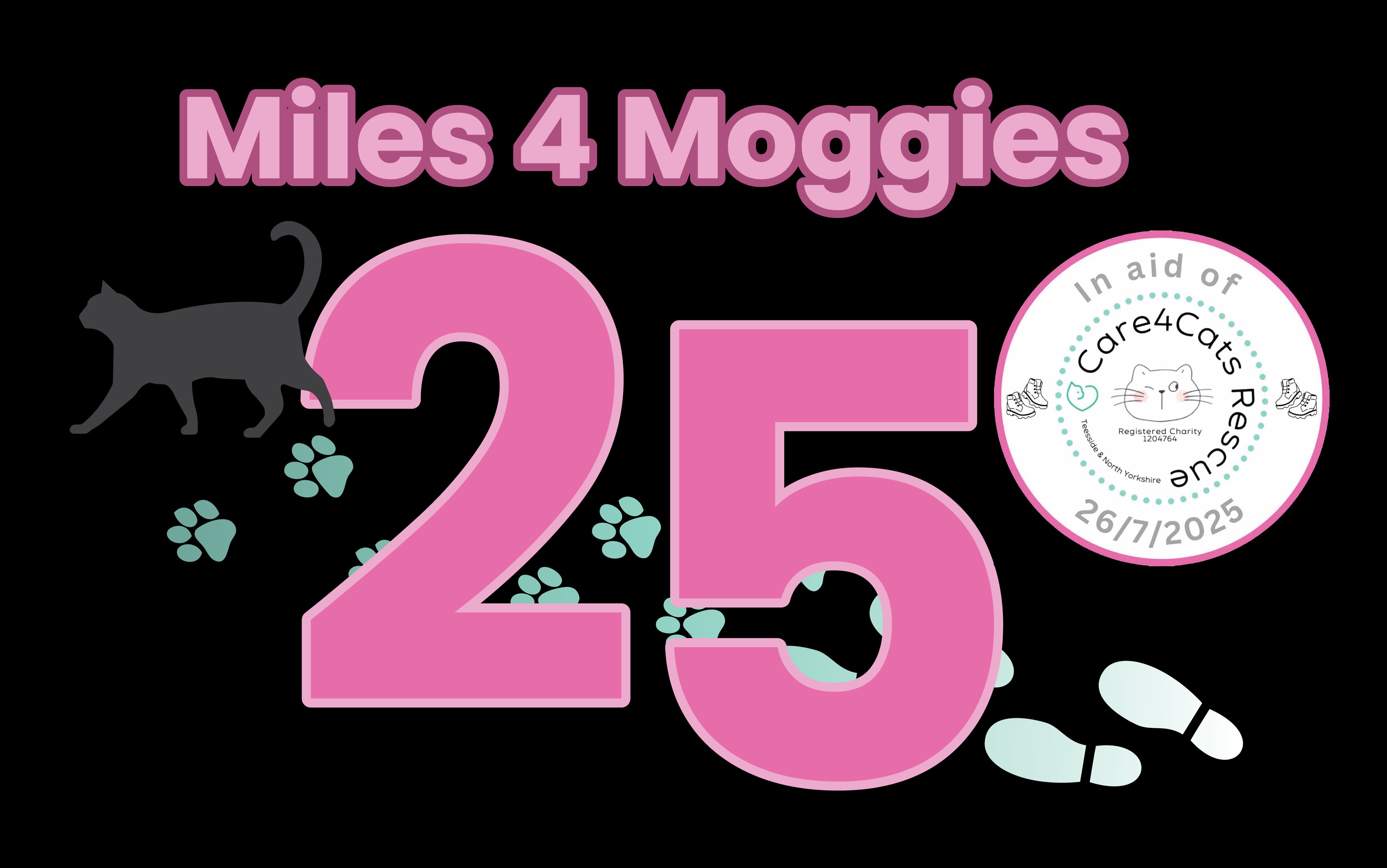 Miles4Moggies in aid of Care4Cats Rescue - T&NY campaign photo, 4 of 5