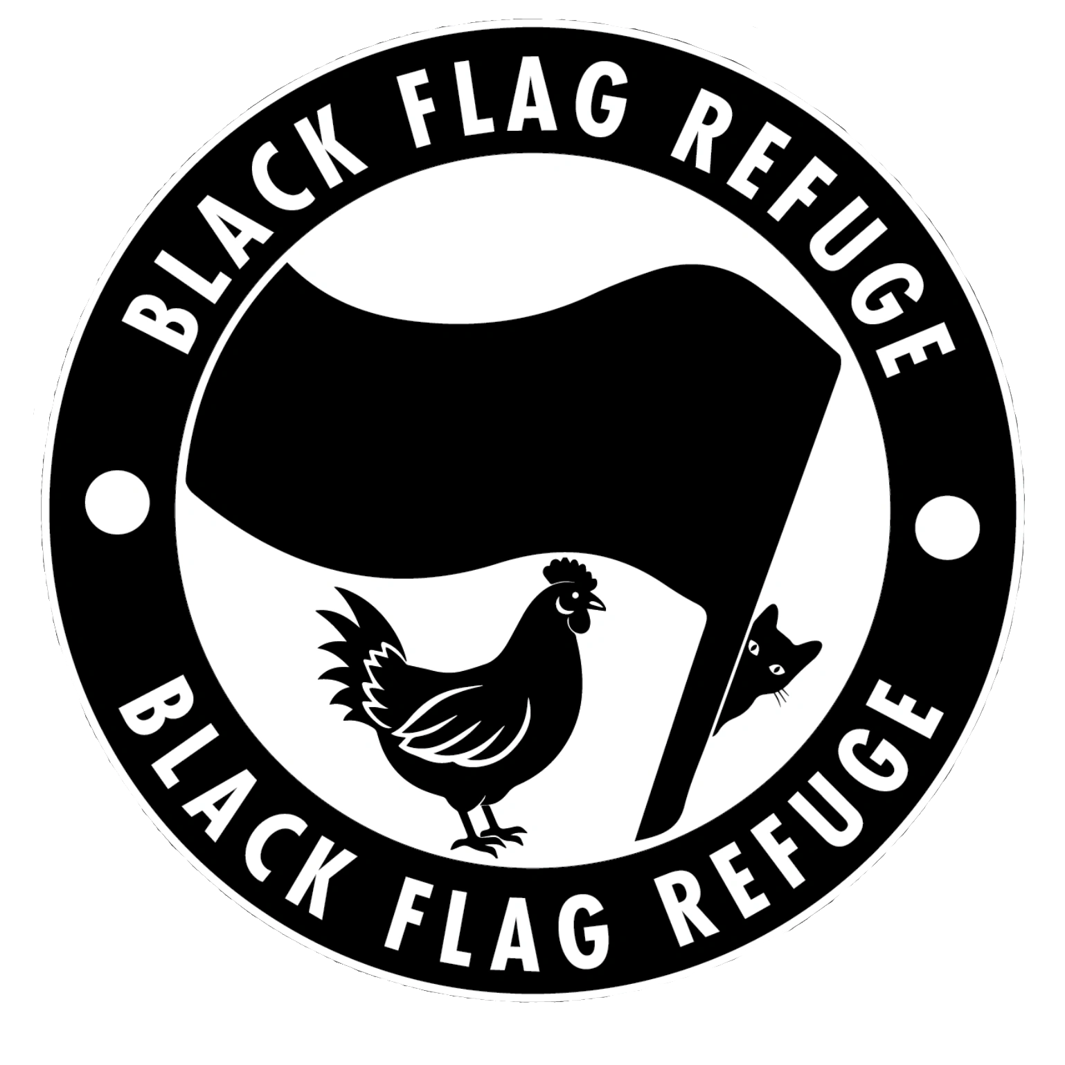 Help Support the Chickens & Cats of Black Flag Refuge  campaign photo, 5 of 6