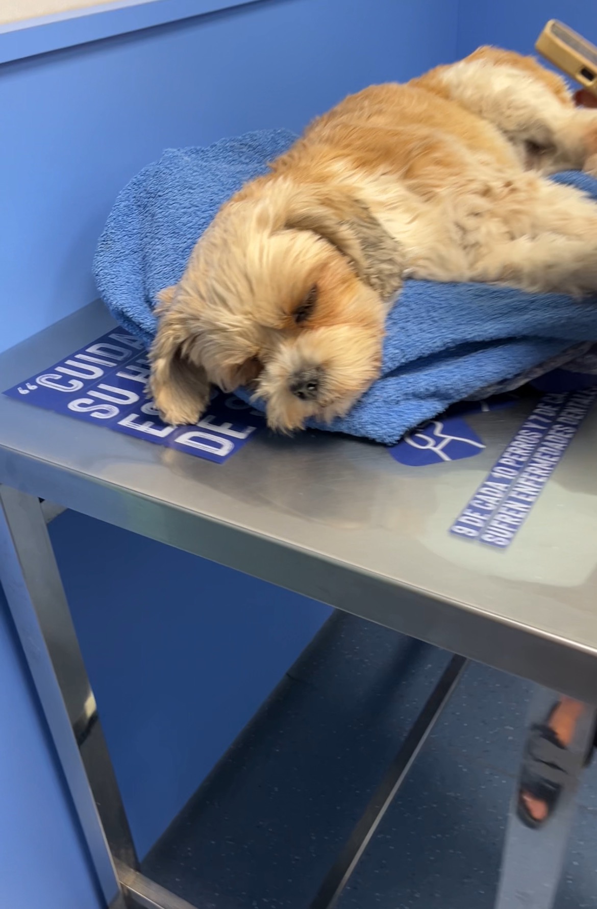 Paralyzed After a Fall -Help 15-Year-Old Darcy Get Care campaign photo, 7 of 8