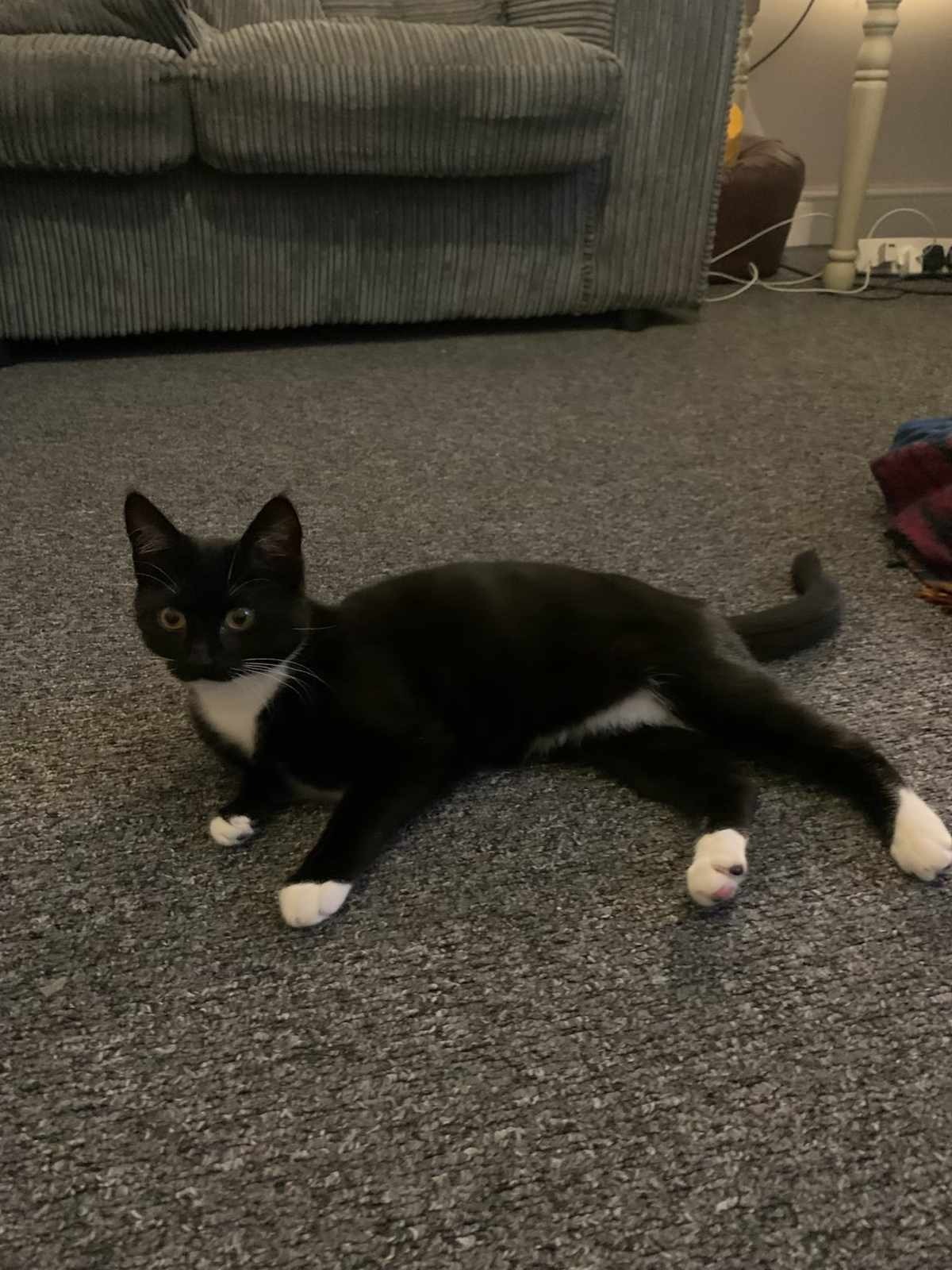 User-uploaded image 1