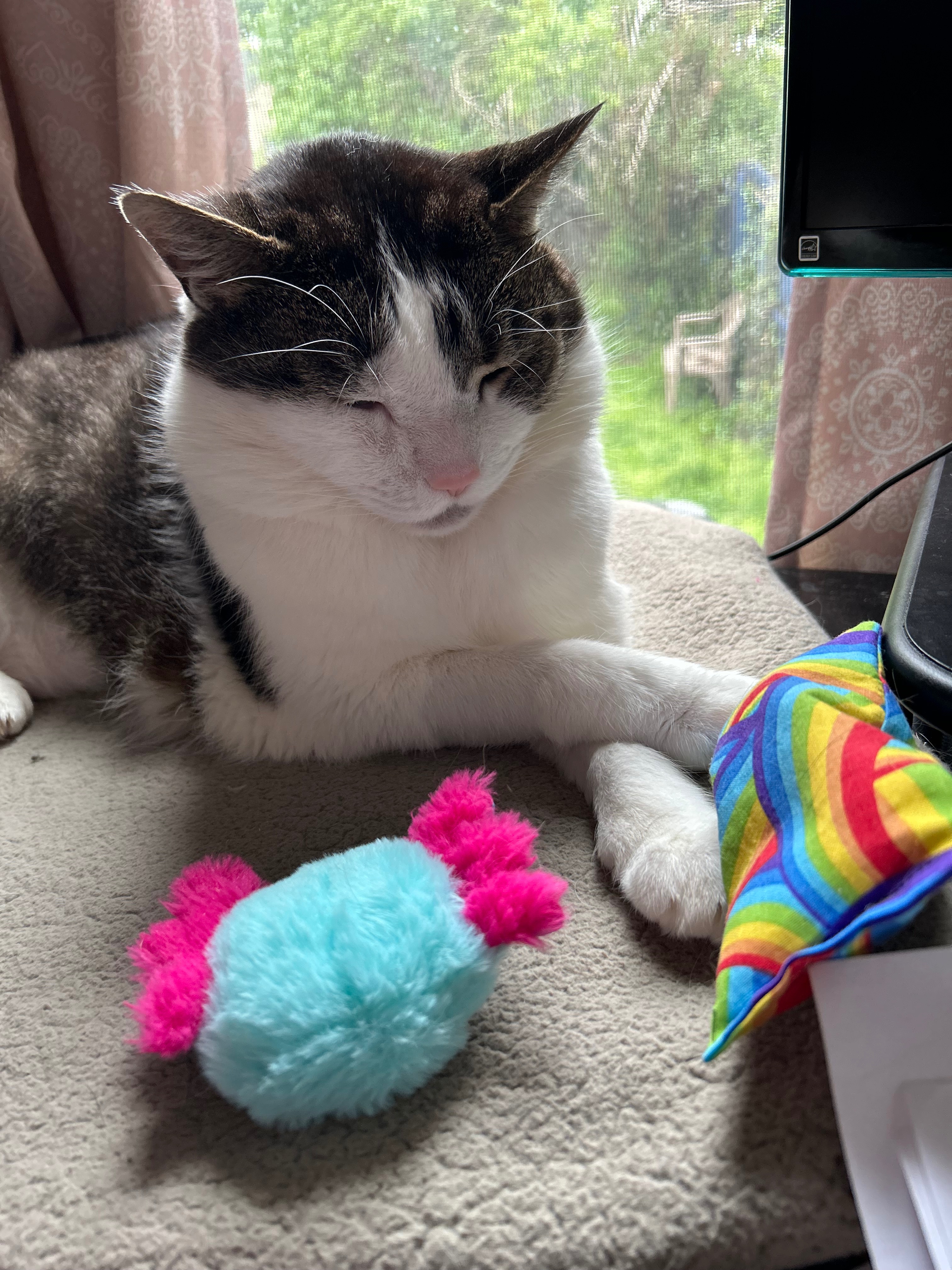 User-uploaded image 1