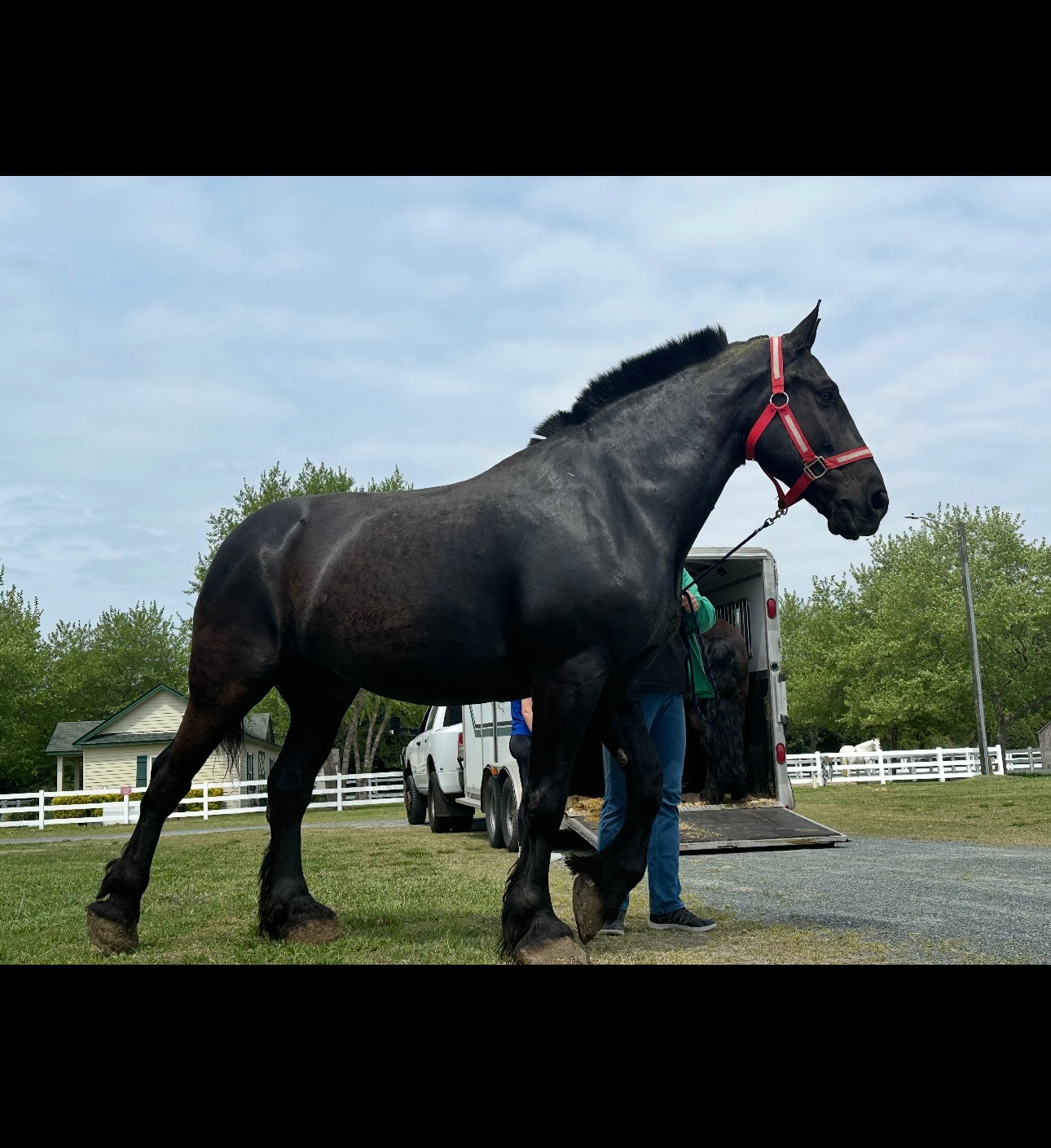 Thor's Recovery: A Hero's Second Chance campaign photo, 2 of 4