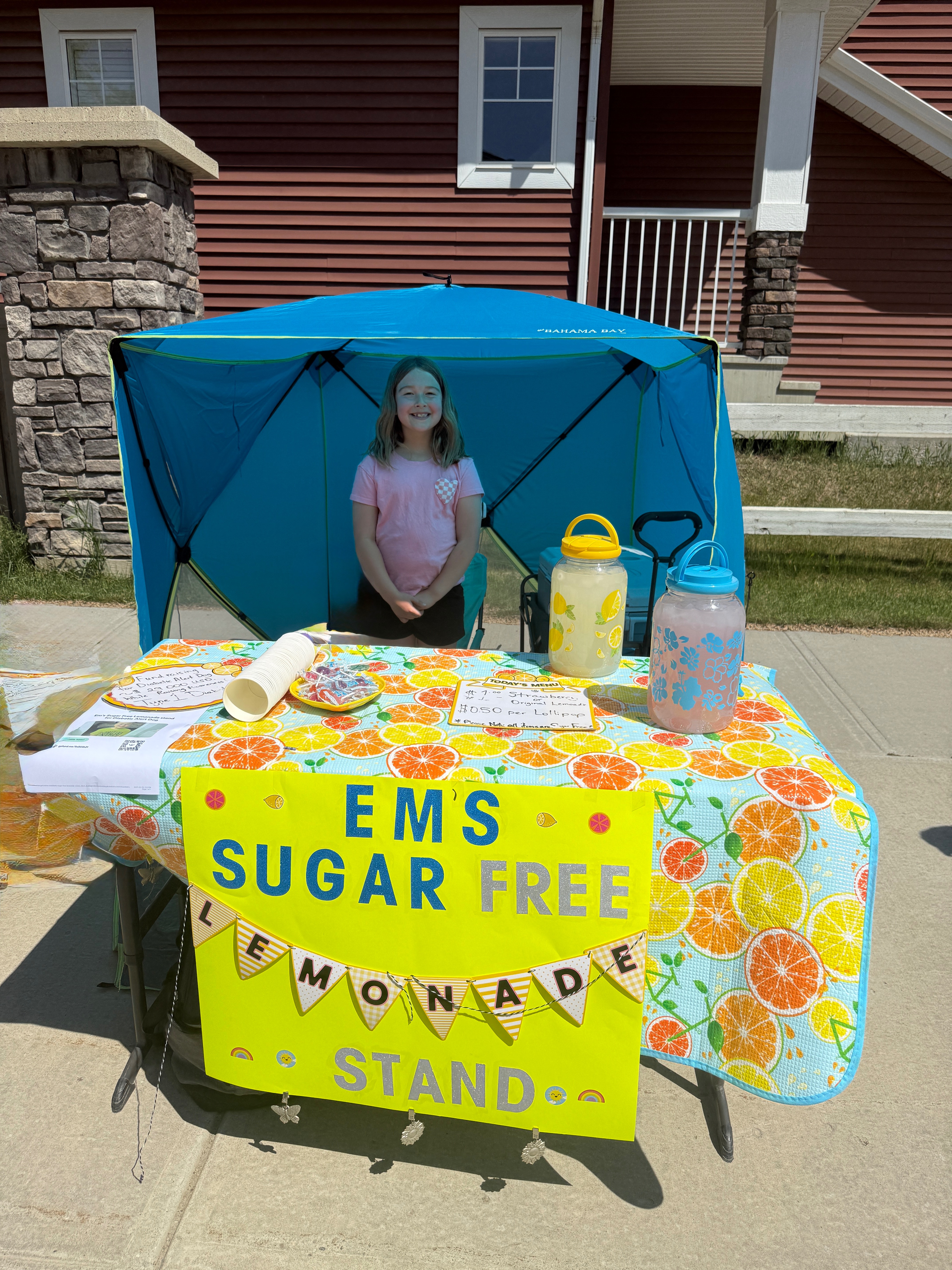 Em's Sugar Free Lemonade stand for Diabetic Alert Dog campaign photo, 5 of 8