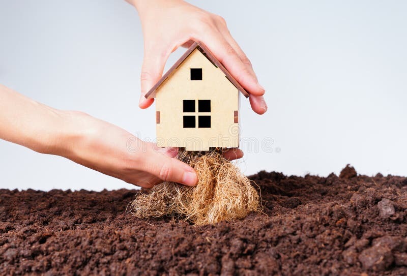 User-uploaded image 1