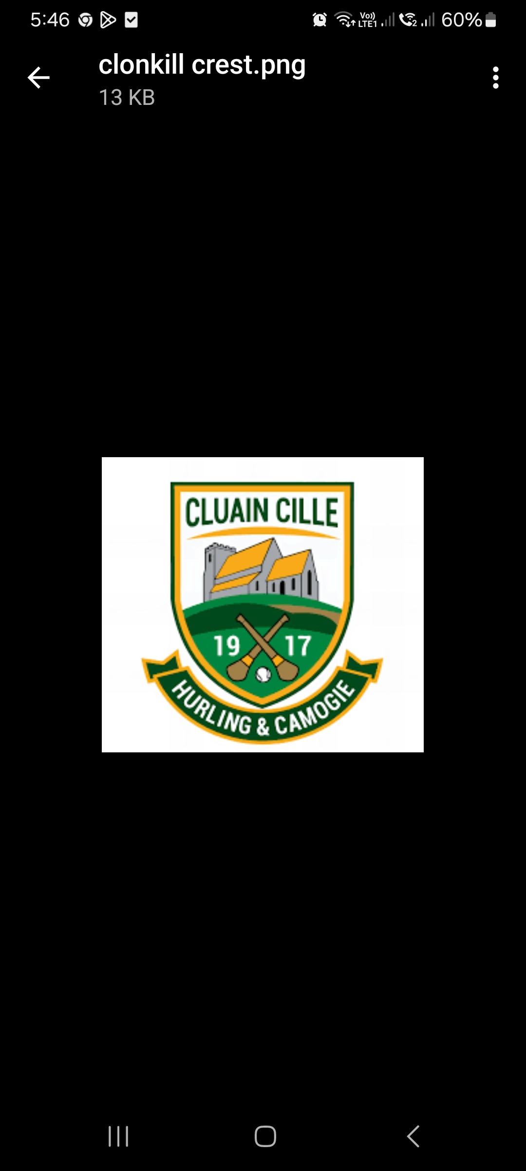 CLONKILL U15 FEILE TEAM campaign photo, 2 of 4