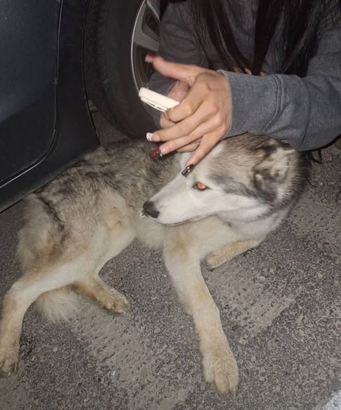 Help Support Glacier’s Recovery Journey campaign photo, 2 of 8