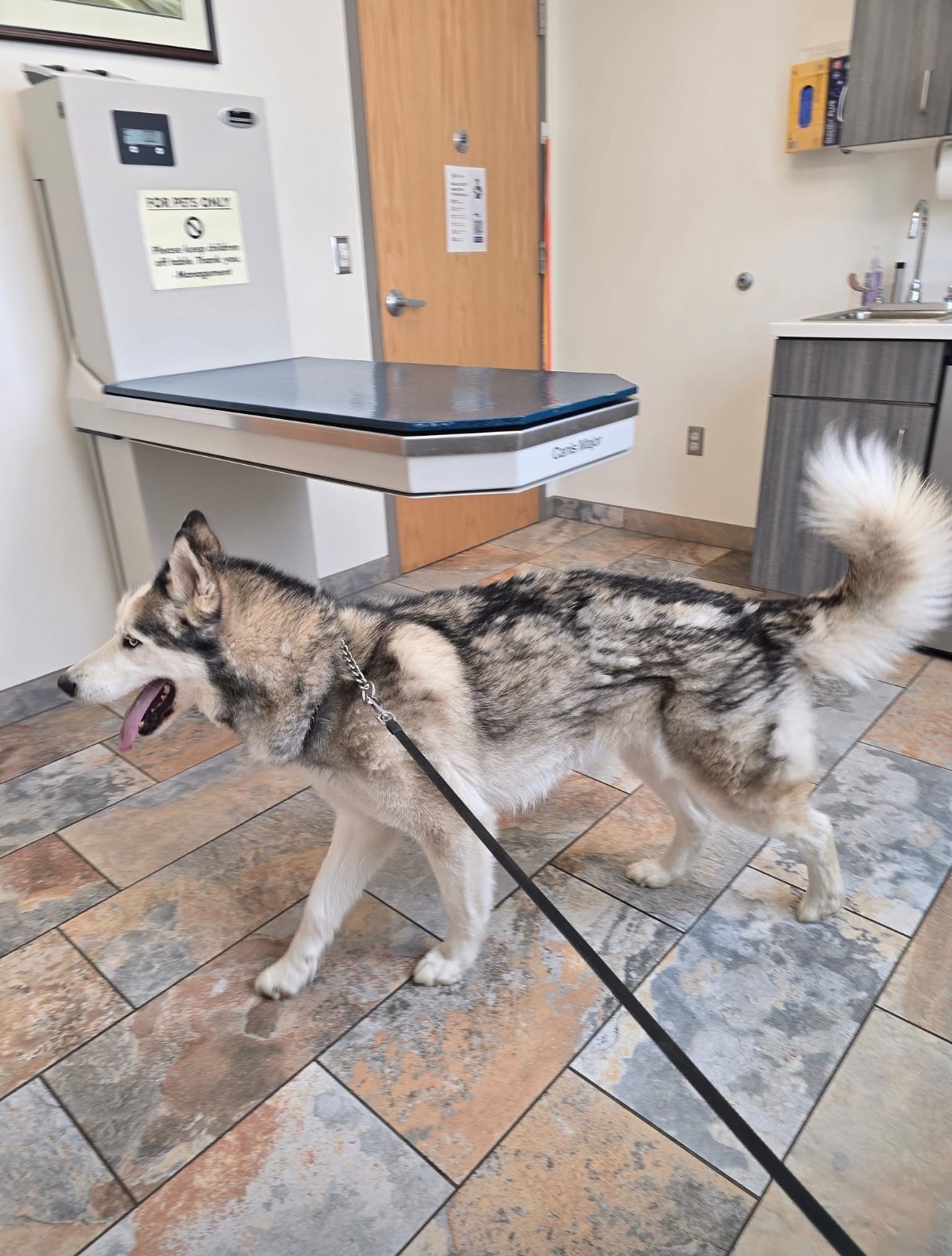 Help Support Glacier’s Recovery Journey campaign photo, 5 of 8