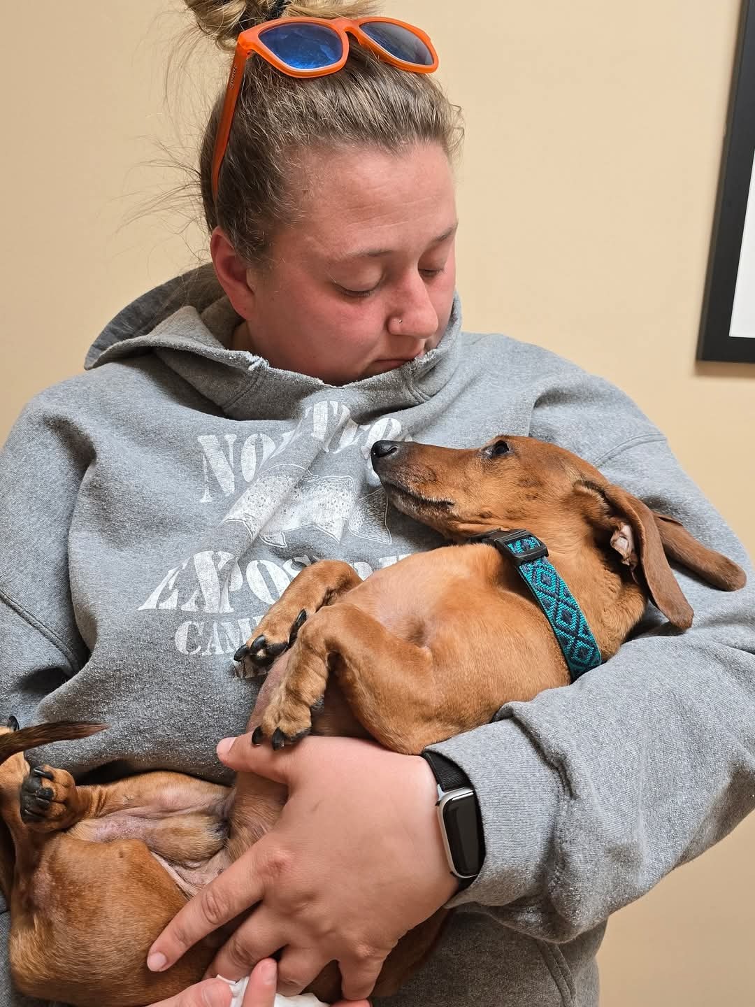 Support Lindsey and Jasper's Healing Journey campaign photo, 6 of 7