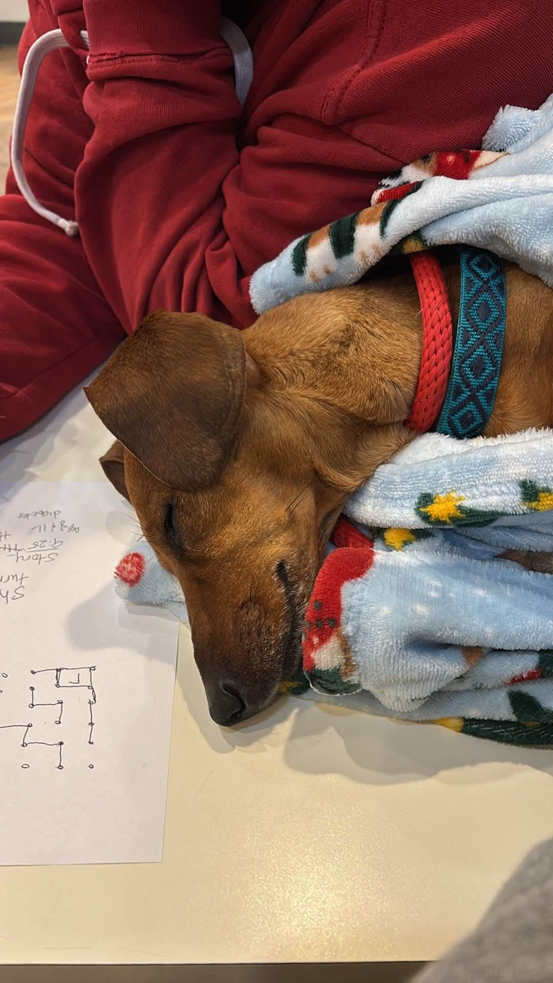 Support Lindsey and Jasper's Healing Journey campaign photo, 2 of 7