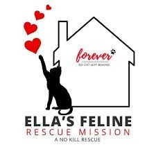 Ella's Feline Rescue Mission: TNR Efforts for Feral Cats campaign photo, 5 of 6