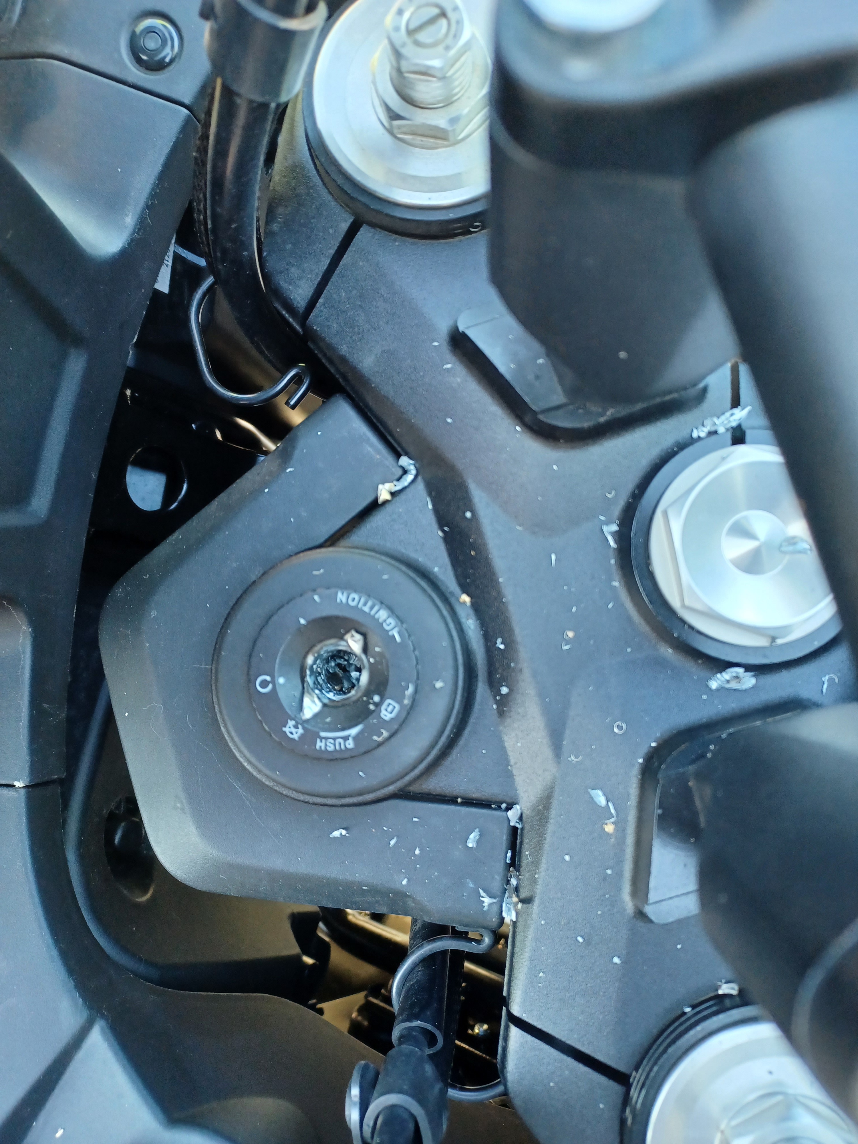 User-uploaded image 1