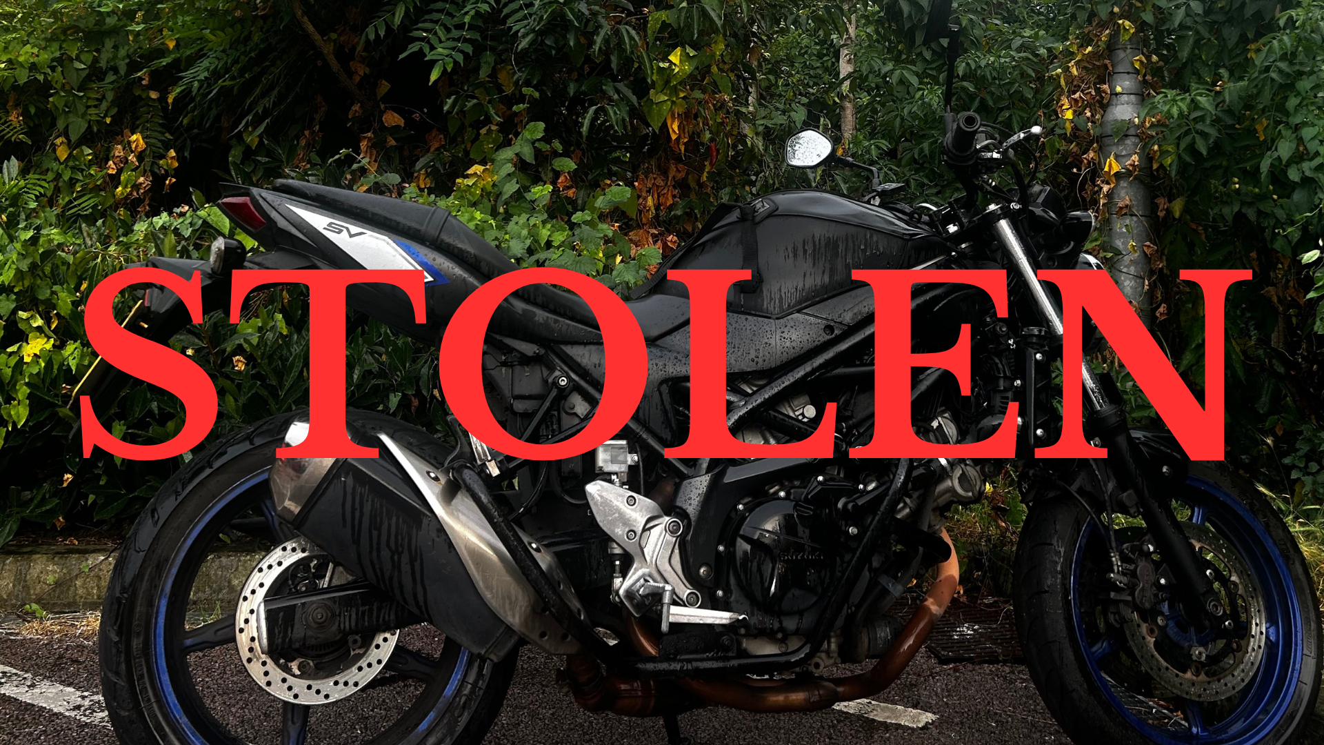 User-uploaded image 1