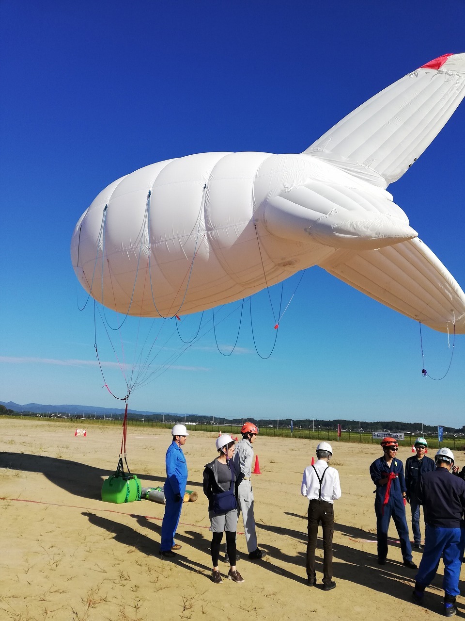 User-uploaded image 3