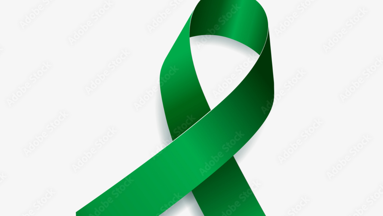 Support a Family's Transplant Journey photo