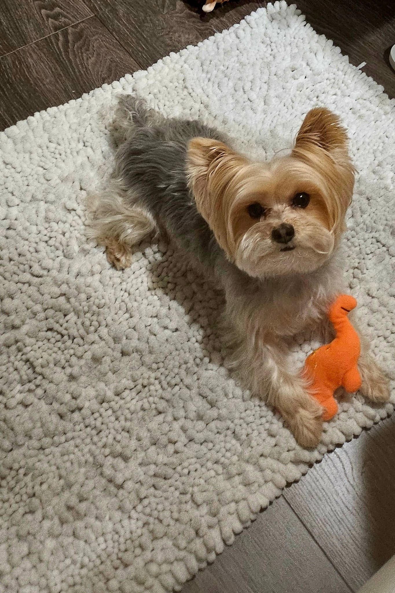 Urgent Surgeries Needed for My Little One campaign photo, 7 of 8