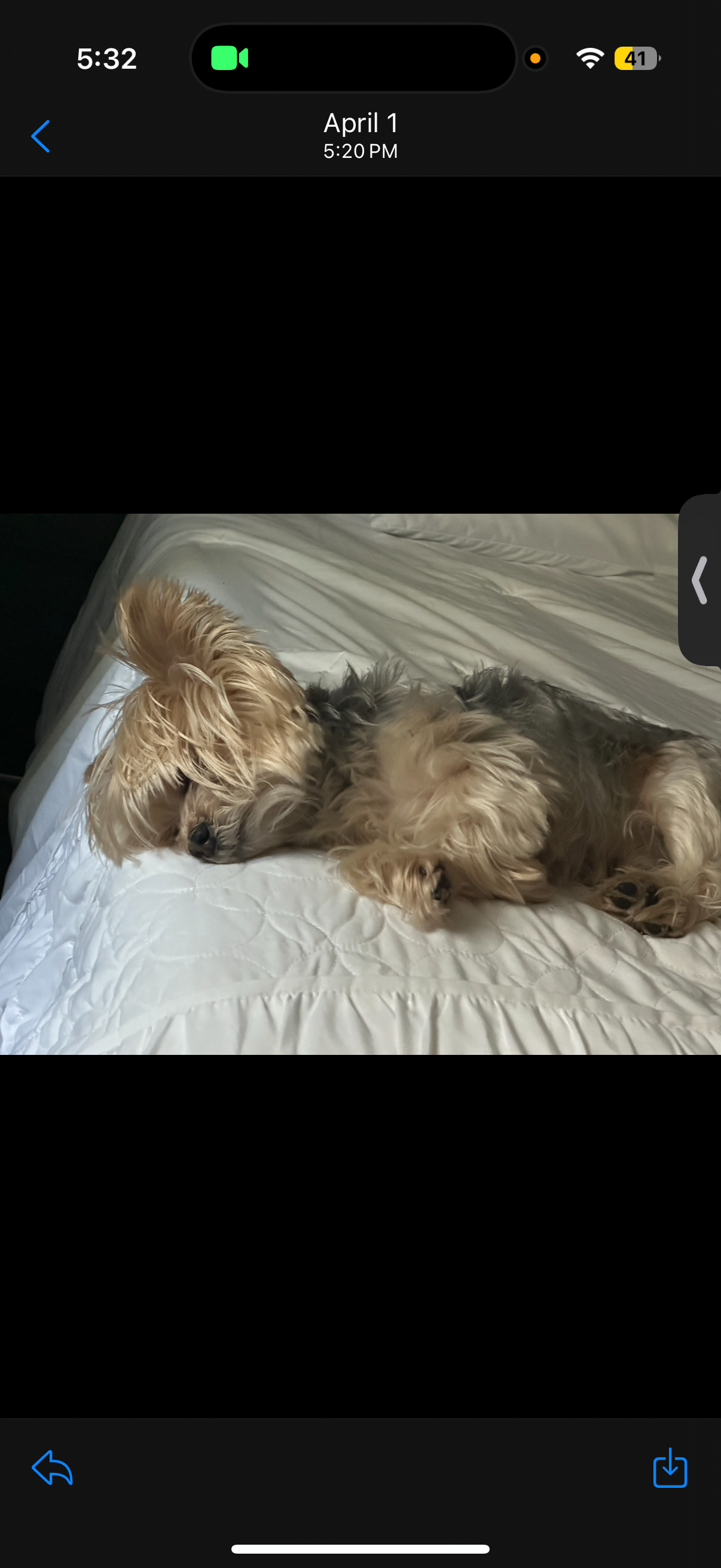 Urgent Surgeries Needed for My Little One campaign photo, 4 of 8
