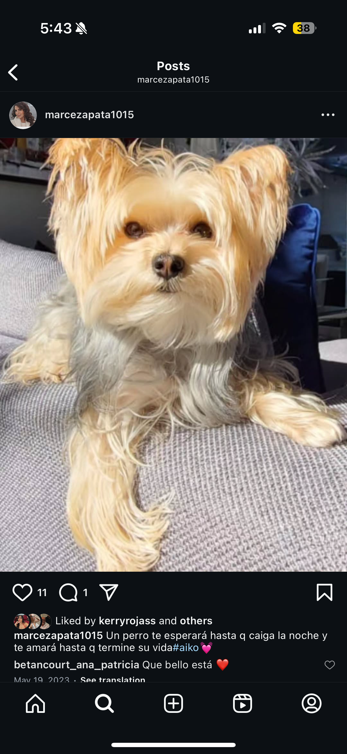 Urgent Surgeries Needed for My Little One campaign photo, 5 of 8
