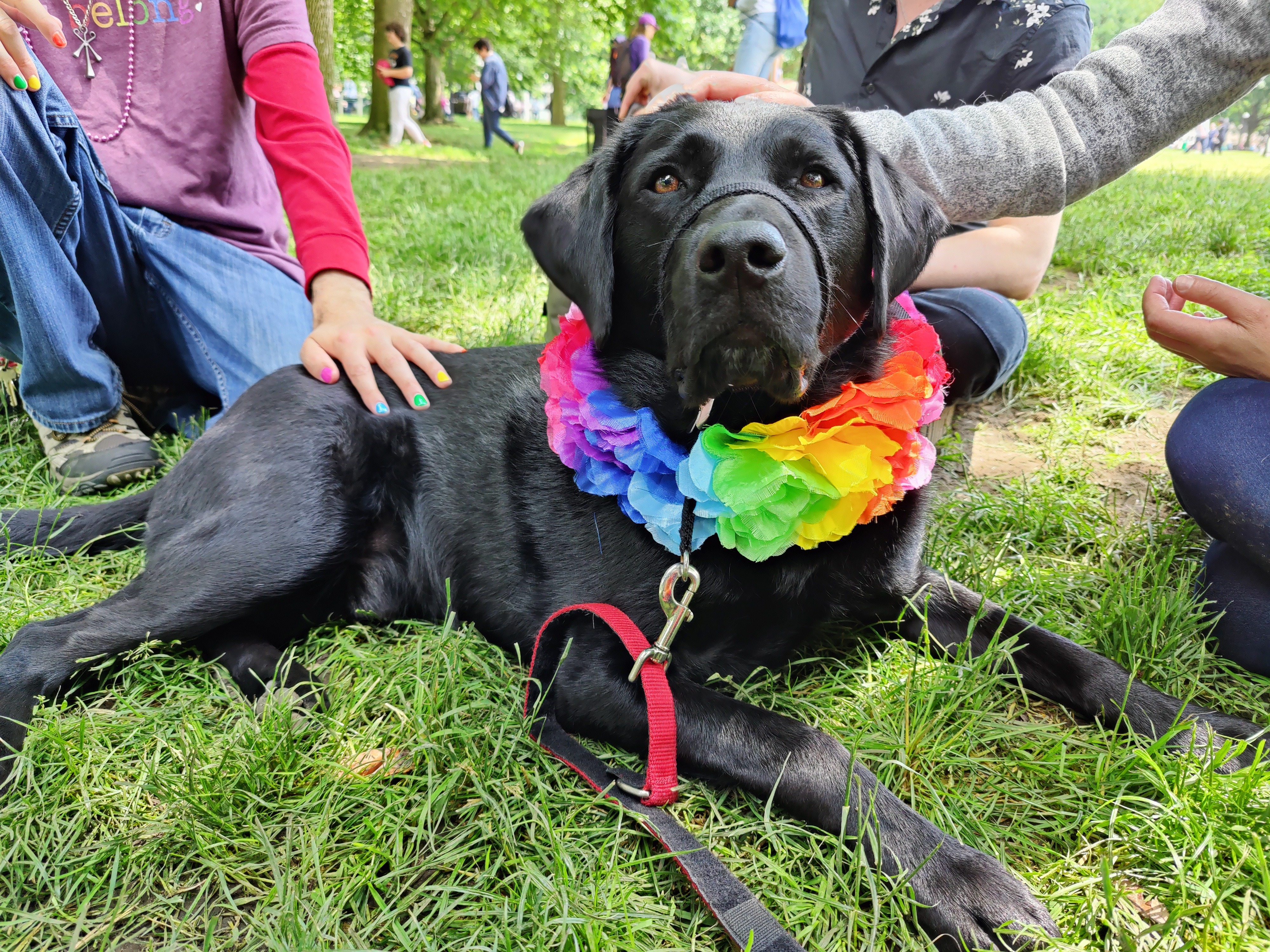 User-uploaded image 1